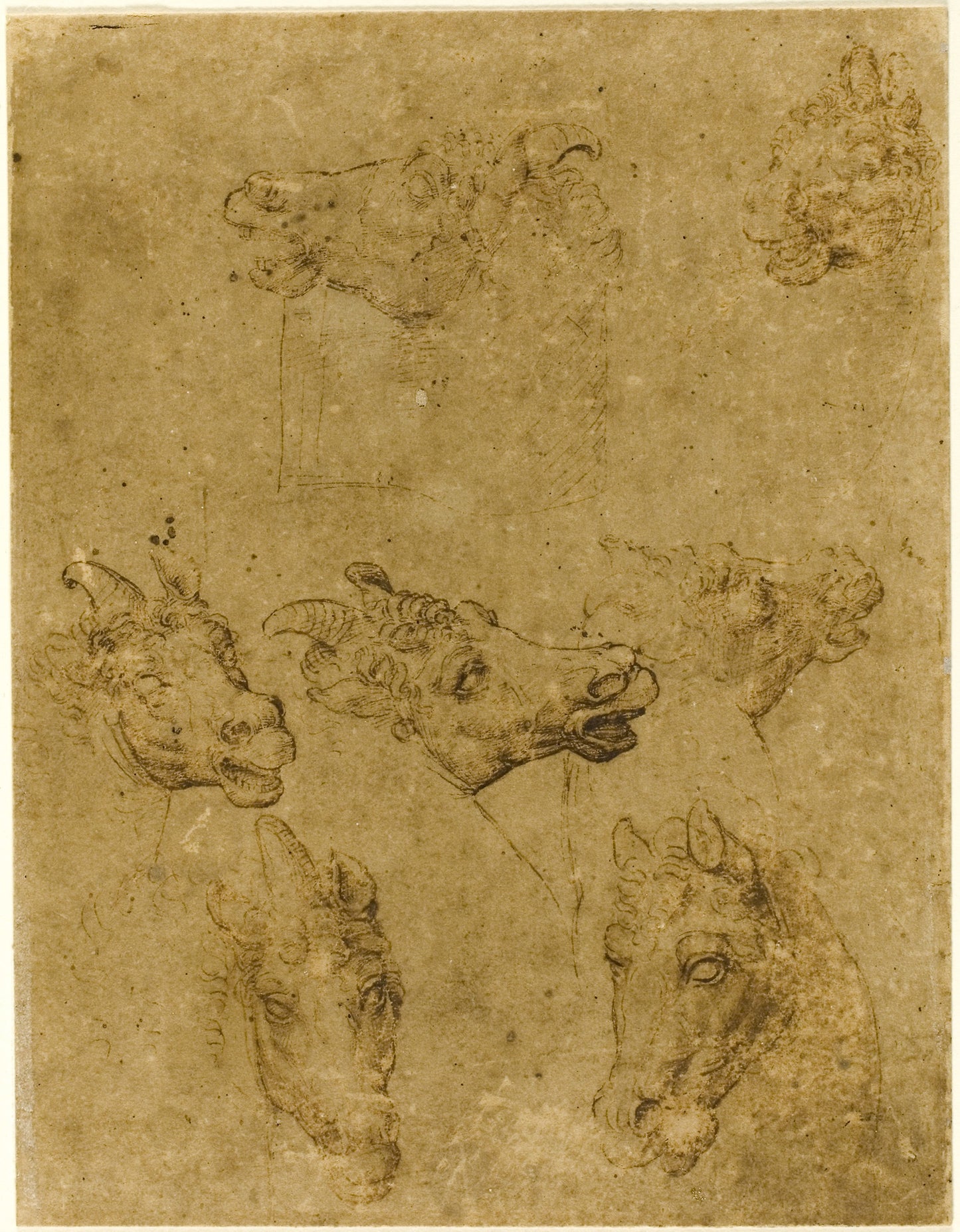 Heads of Horses and Unicorns: Follower of Leonardo da Vinci,16x12"(A3) Poster