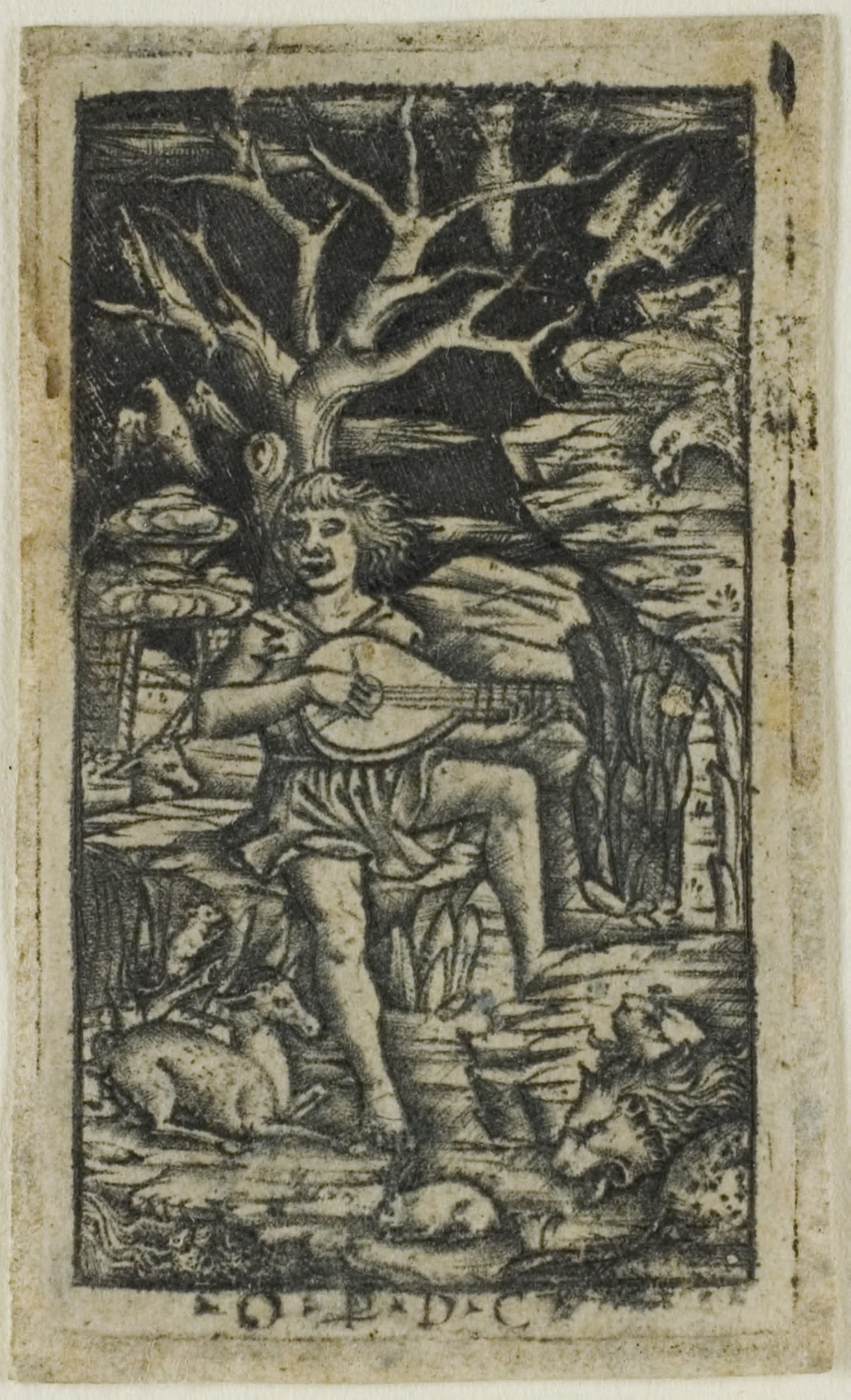 Orpheus Charming the Animals - Peregrino da Cesena, Poster Print Wall Art