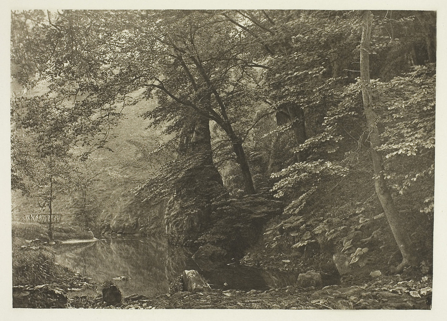 Pike Pool (from below): Peter Henry Emerson, Poster Print Wall Art