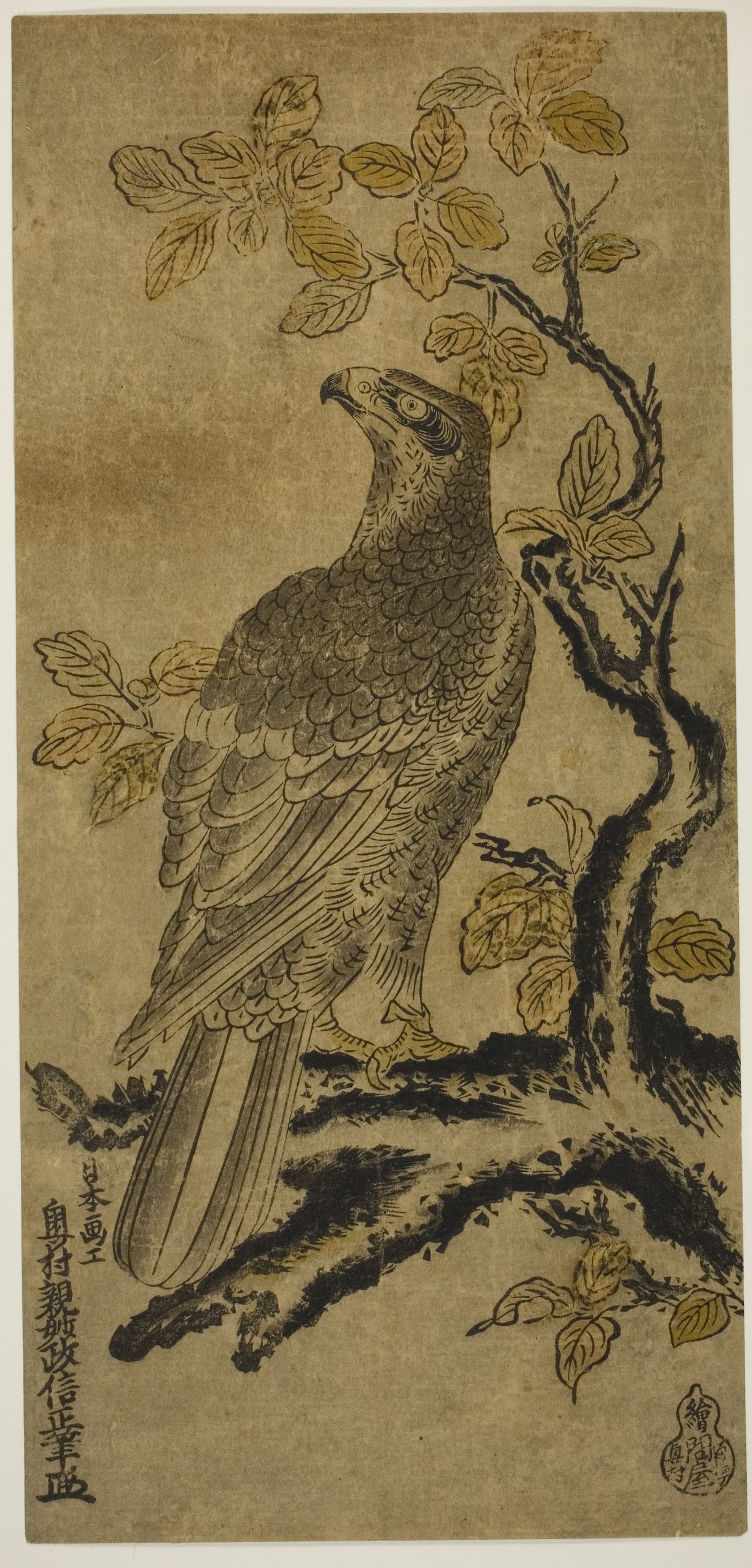 A Hawk on a Kiri Tree: Okumura Masanobu ,16x12"(A3) Poster