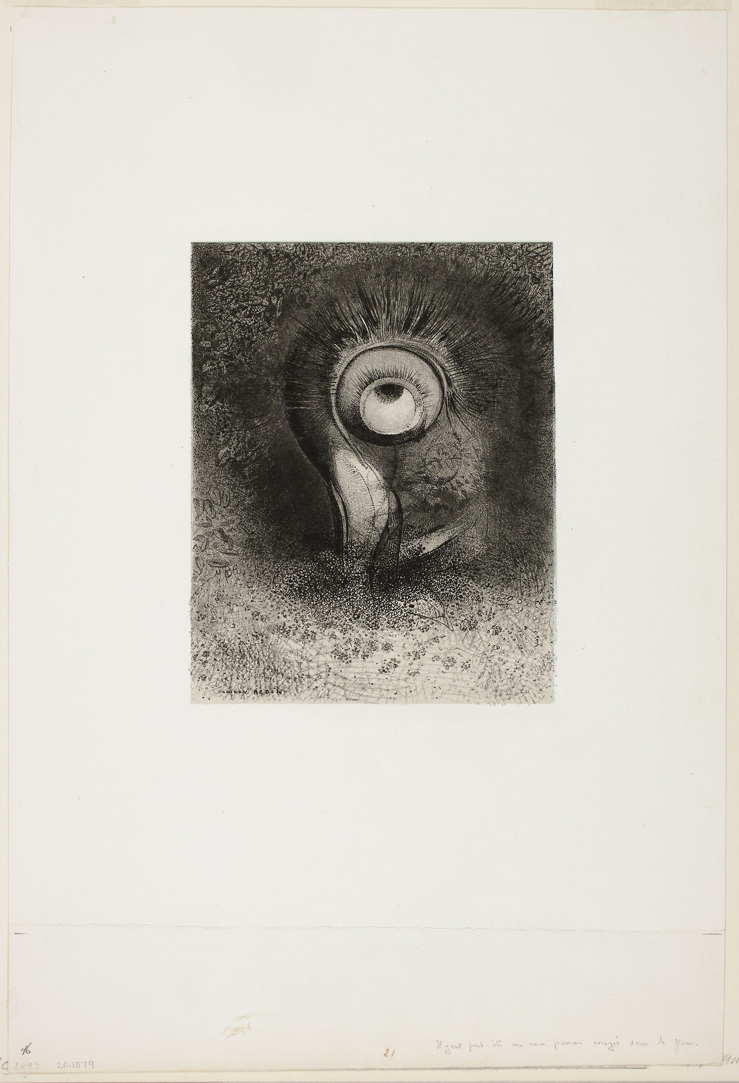 There Was Perhaps a First Vision Attempted in the Flower, plate 2 of 8 from "Les Origines" - Odilon Redon, Poster Print Wall Art