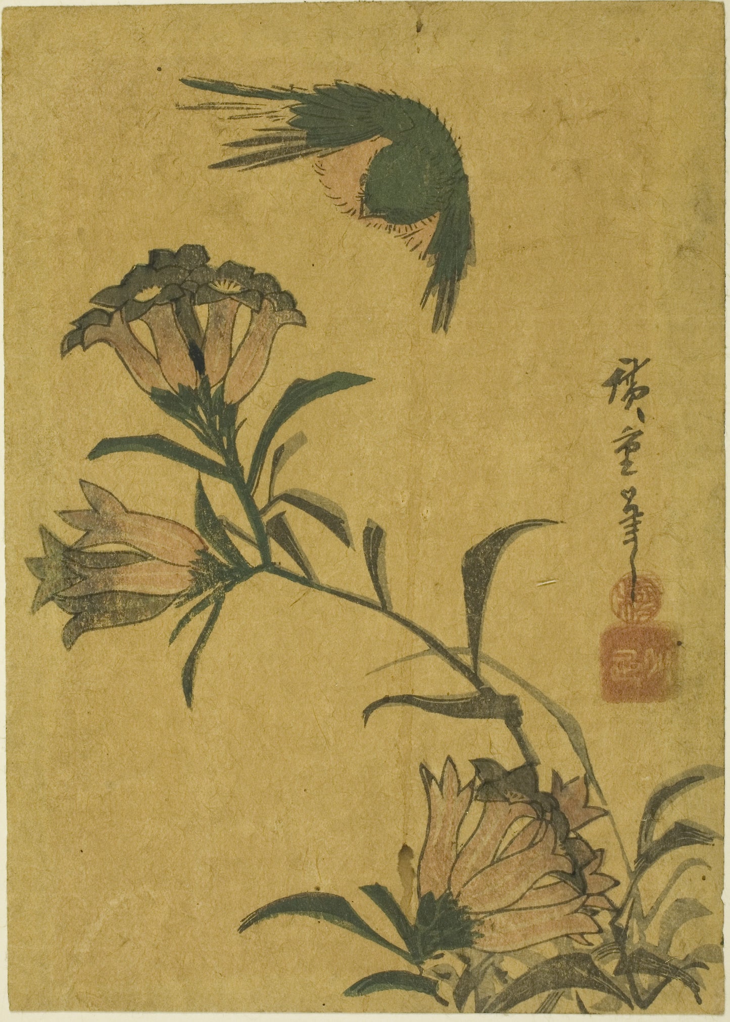 Bird and gentian - Utagawa Hiroshige ?? ??, Poster Print Wall Art