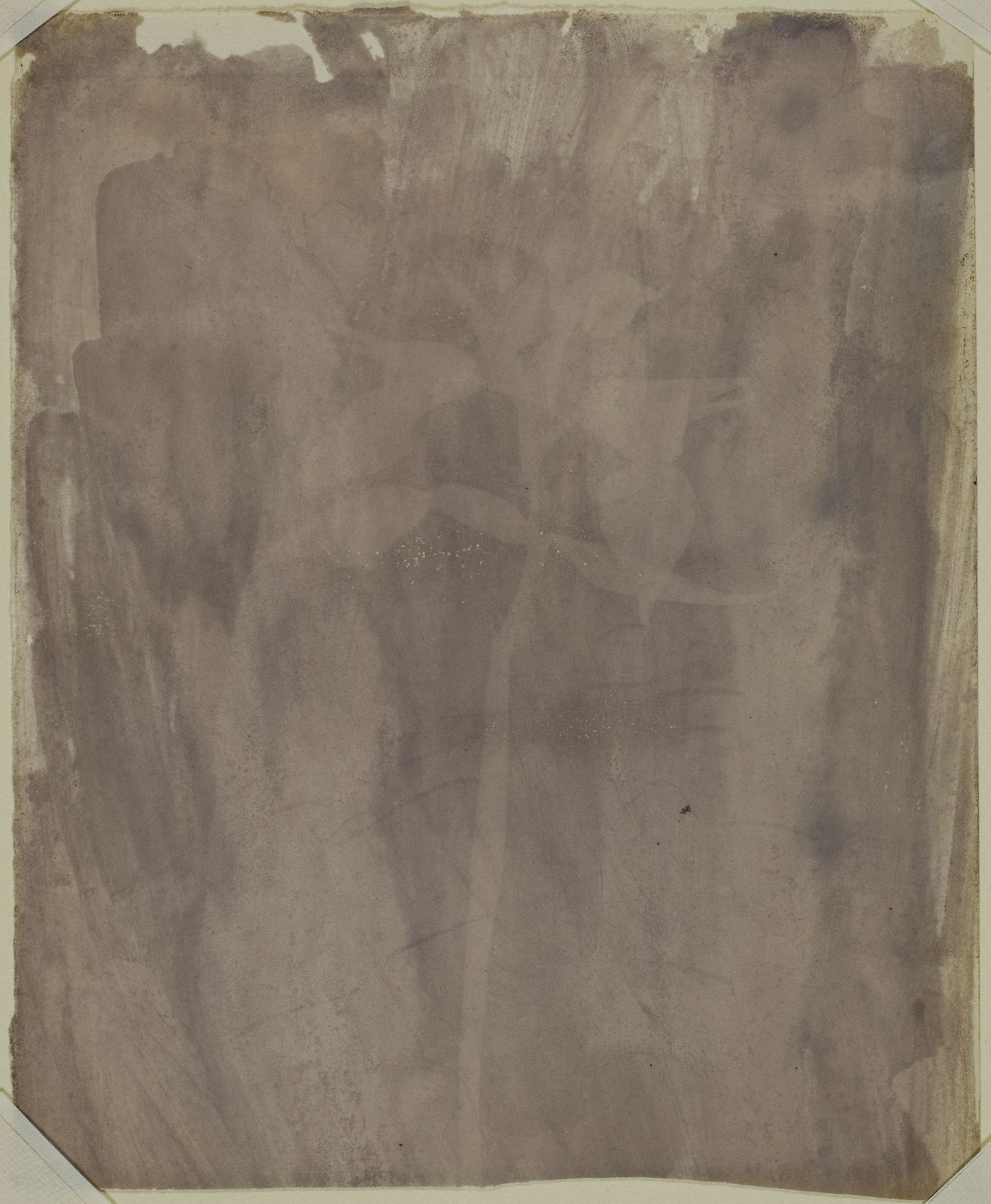 Botanical Specimen - William Henry Fox Talbot, Poster Print Wall Art