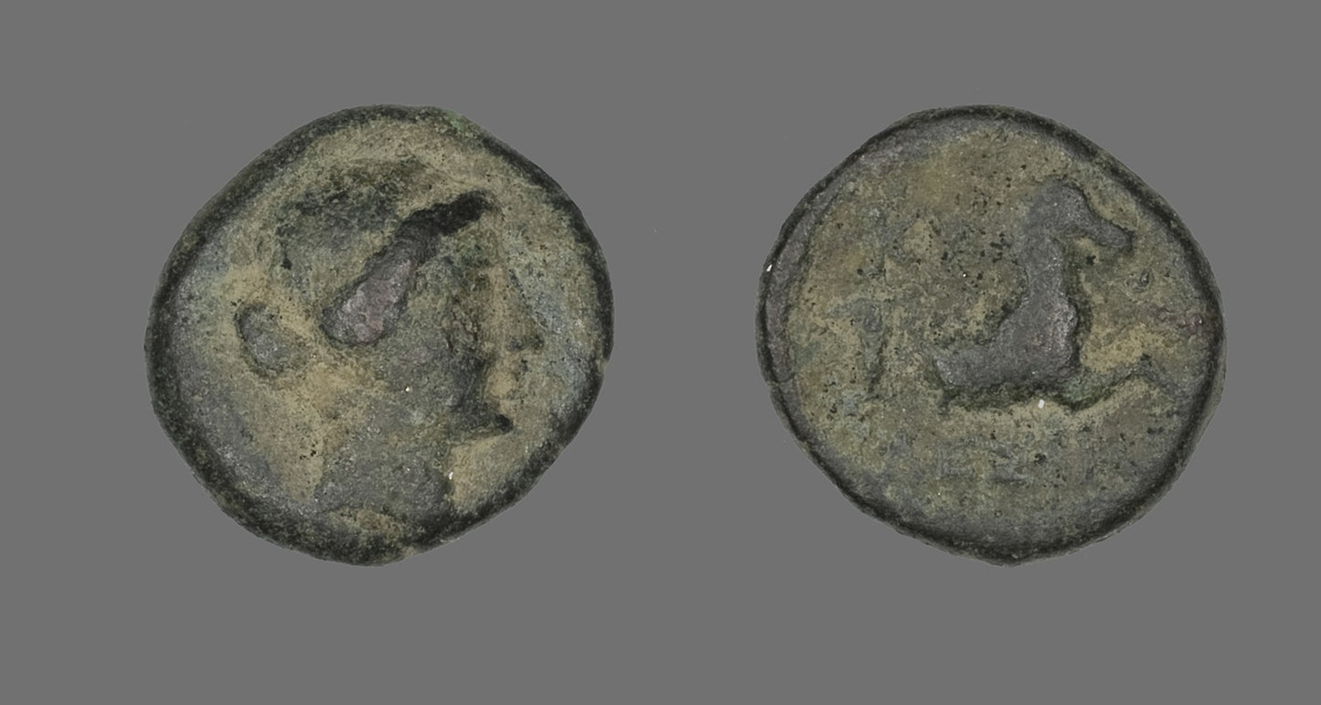 Coin Depicting the Amazon Cyme - Greek, Poster Print Wall Art