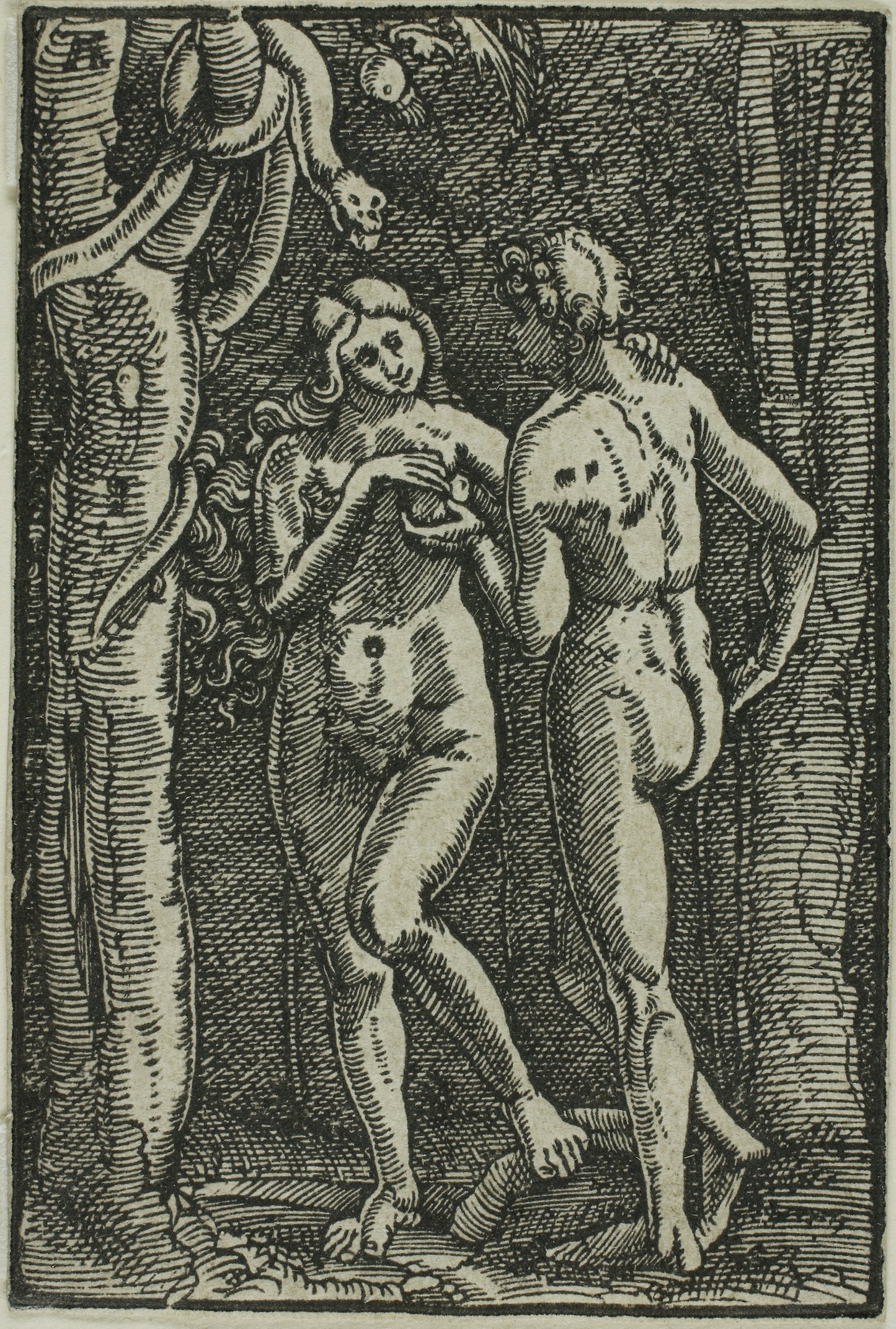 The Fall of Man, from The Fall and Redemption of Man - Albrecht Altdorfer, Poster Print Wall Art
