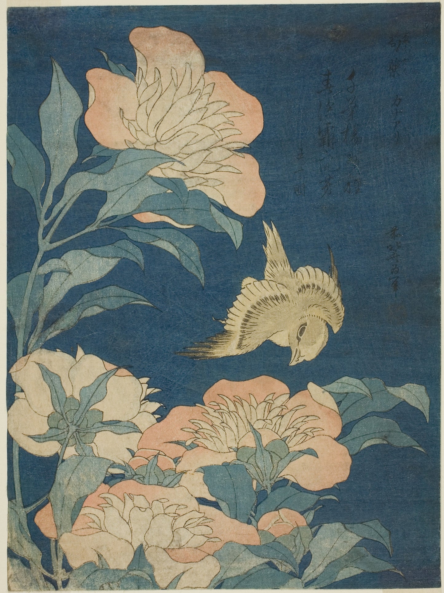 Canary and Peony (Kanaari, shakuyaku), from an untitled series of flowers and birds - Katsushika Hokusai ?? ?? , Poster Print Wall Art