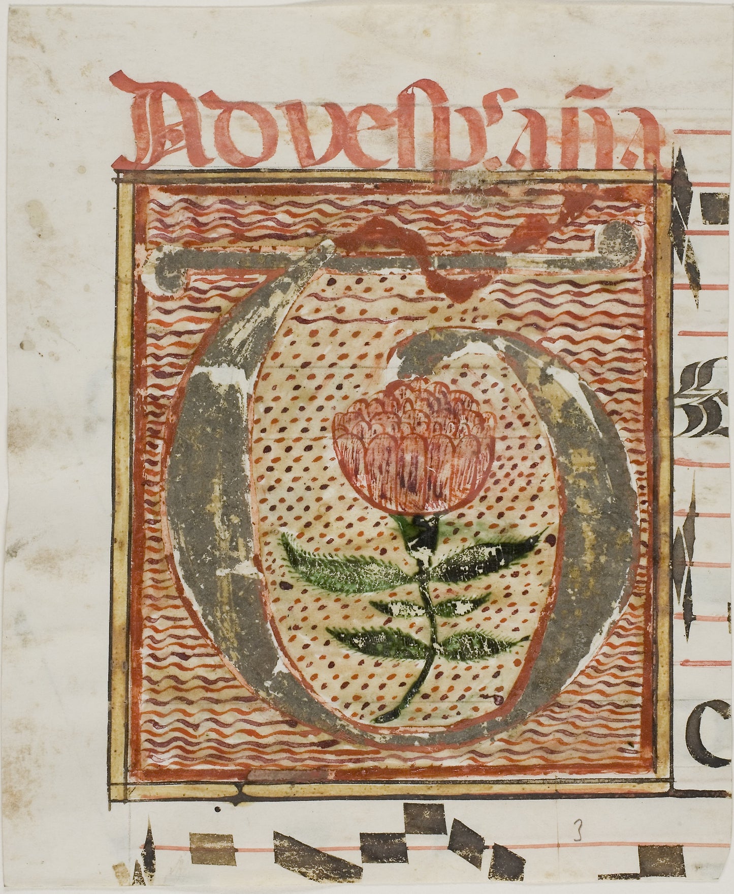 Decorated Initial "T" with Flower from a Manuscript: European, Poster Print Wall Art