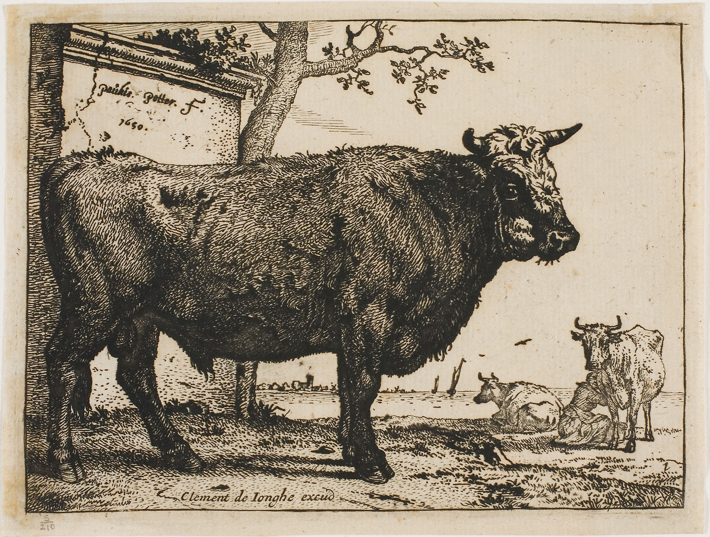 The Bull: Paulus Potter,16x12"(A3) Poster