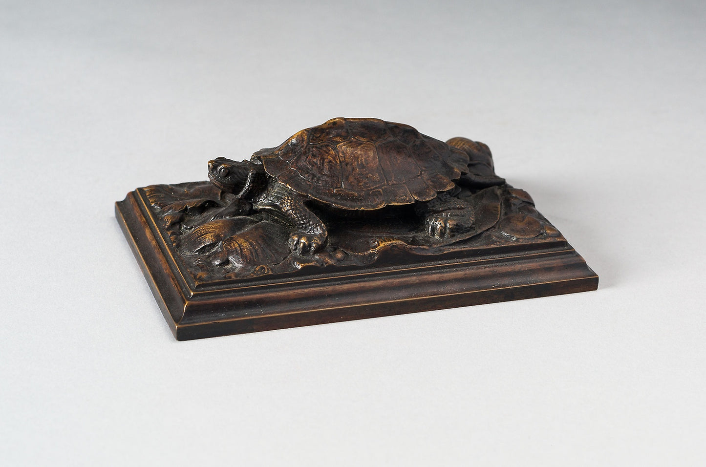 Turtle - Antoine Louis Barye, Poster Print Wall Art