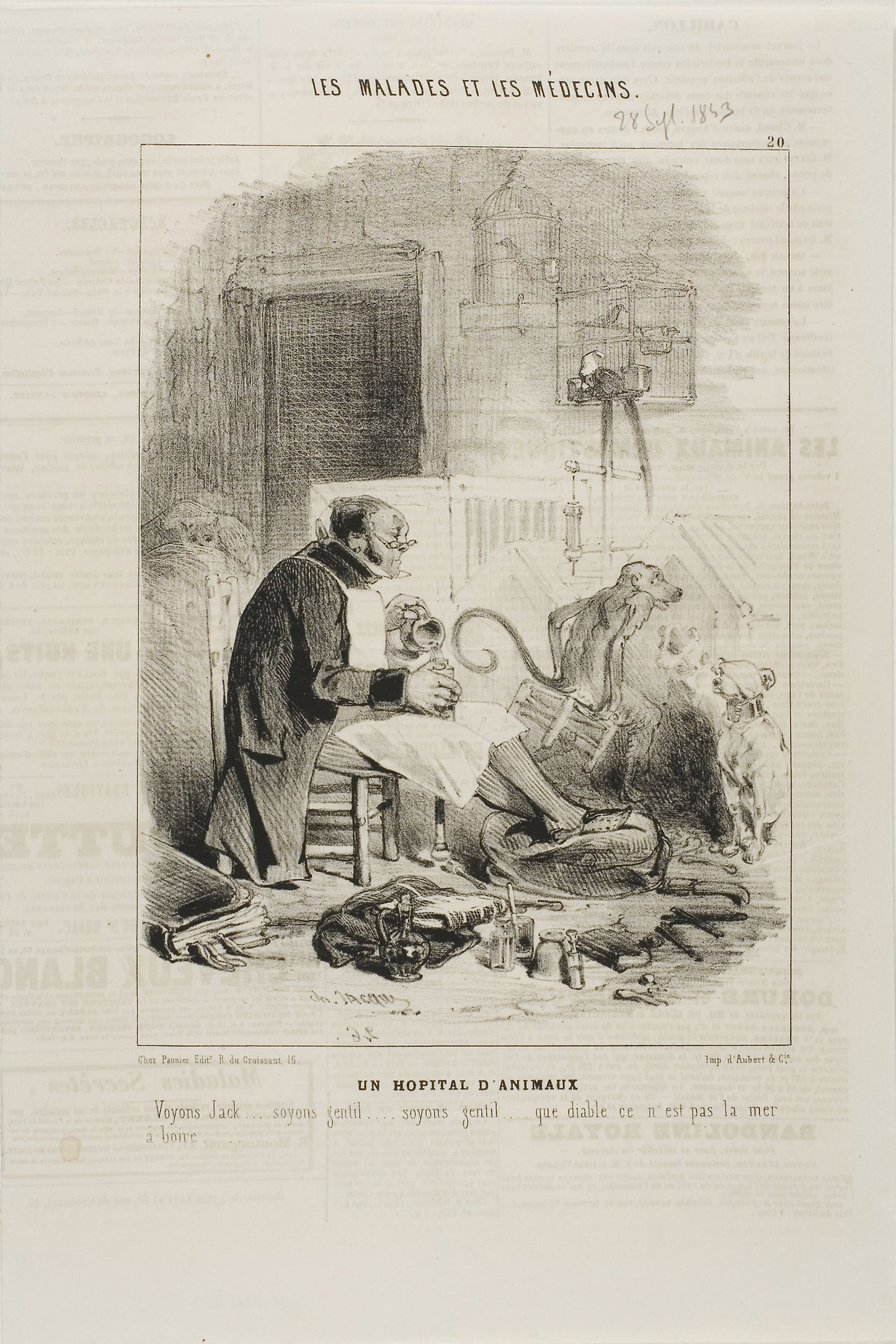 An Animal Hospital (plate 20) - Charles Émile Jacque, Poster Print Wall Art