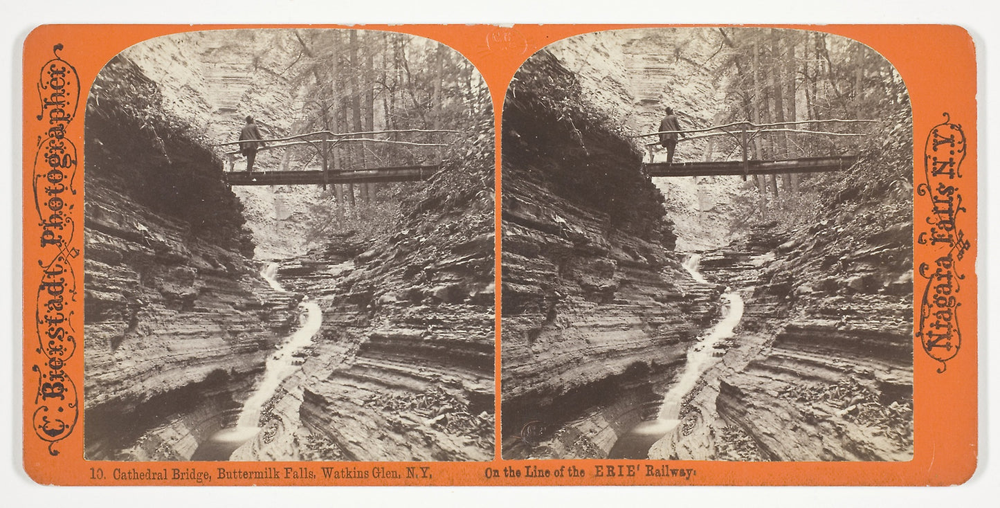 Cathedral Bridge, Buttermilk Falls, Watkins Glen, N.Y. - Charles Bierstadt, Poster Print Wall Art