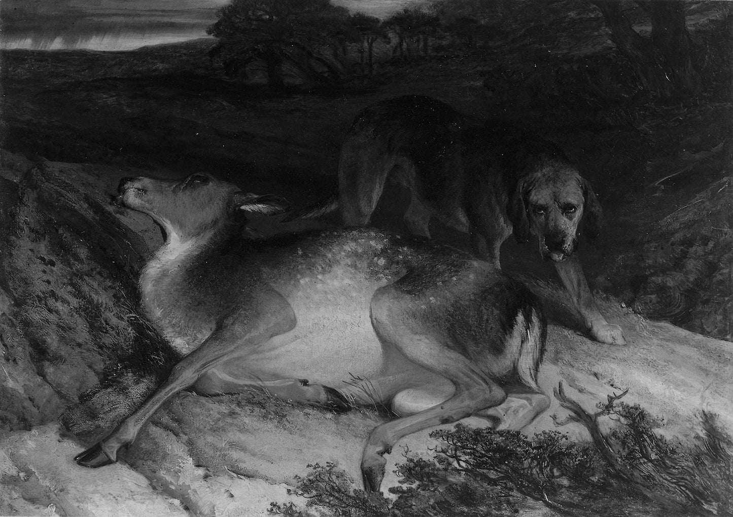 Wounded Stag and Dog - Edwin Henry Landseer, Poster Print Wall Art