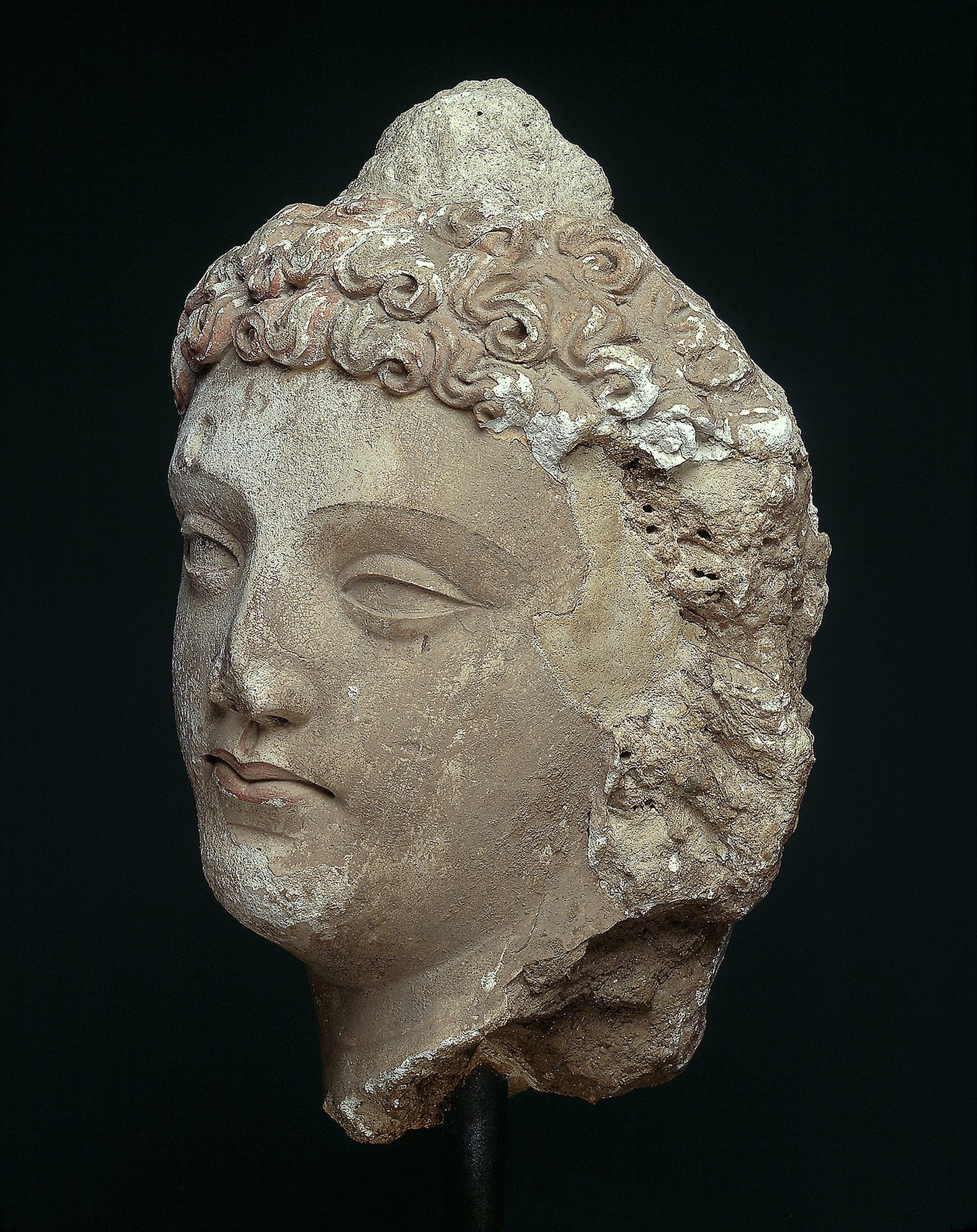 Head of a Bodhisattva - Present-day Afghanistan or Pakistan, Poster Print Wall Art