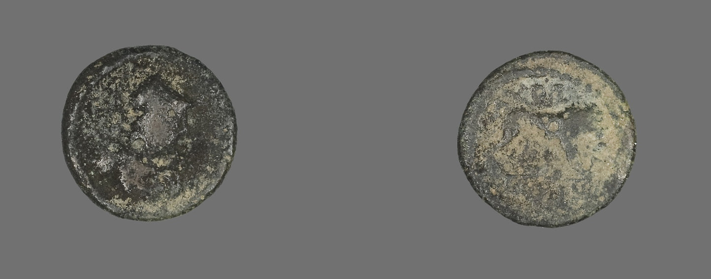Coin Depicting a Lion - Roman, Poster Print Wall Art