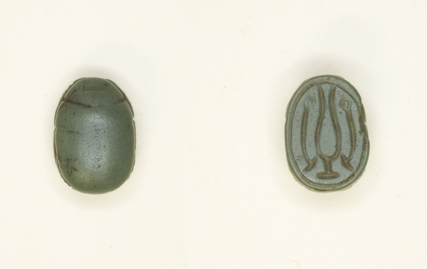 Scarab - Hieroglyphs (Hs-vessel and wAs-Scepters) - Egyptian, Poster Print Wall Art