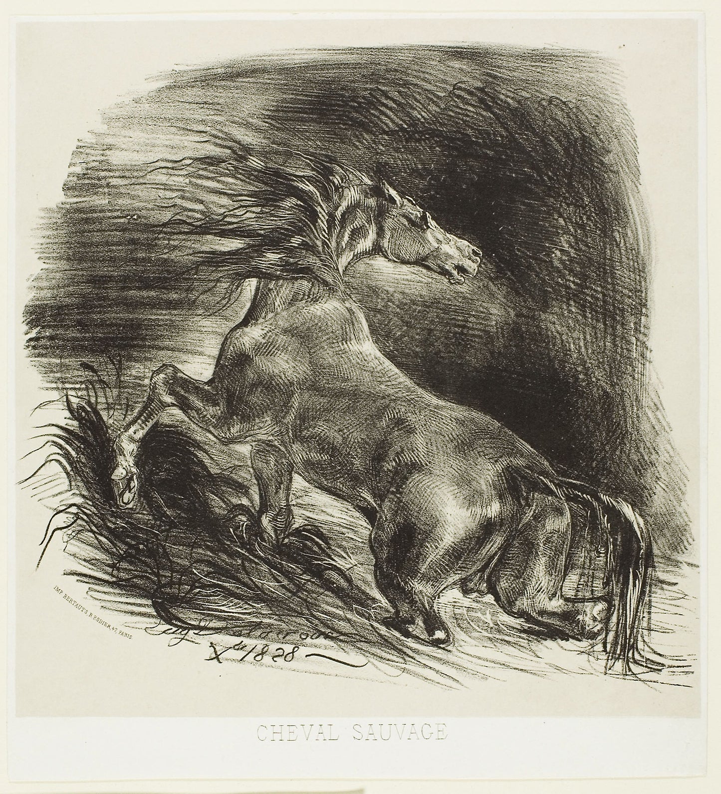 Wild Horse or Frightened Horse Leaving the Water - Eugène Delacroix, Poster Print Wall Art