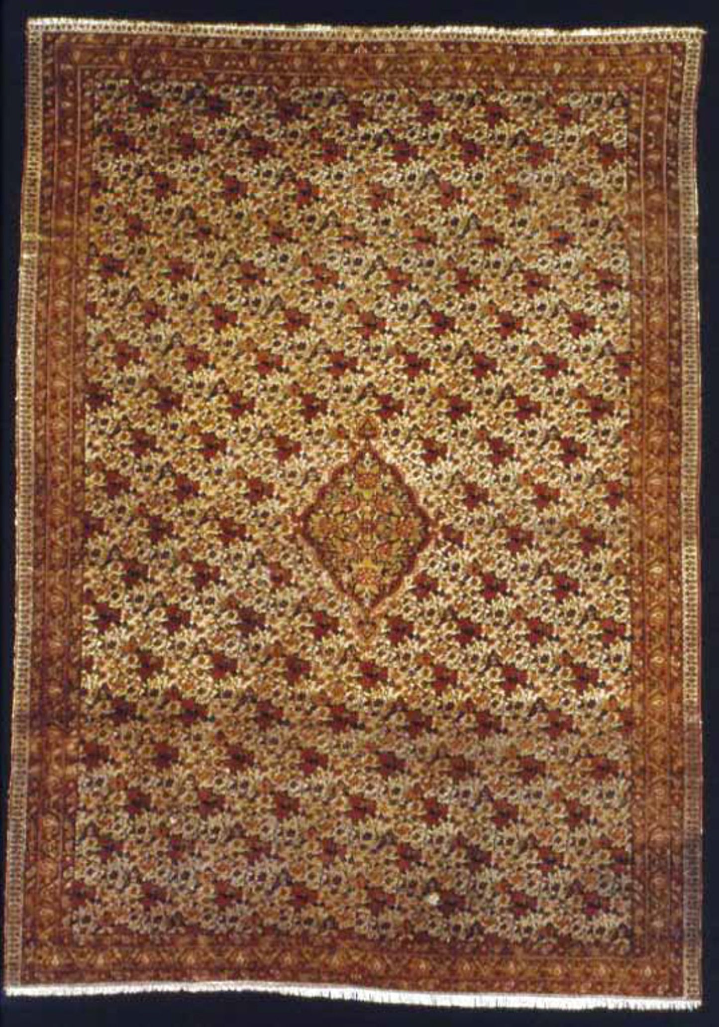 Carpet - Iran (Persia), Poster Print Wall Art