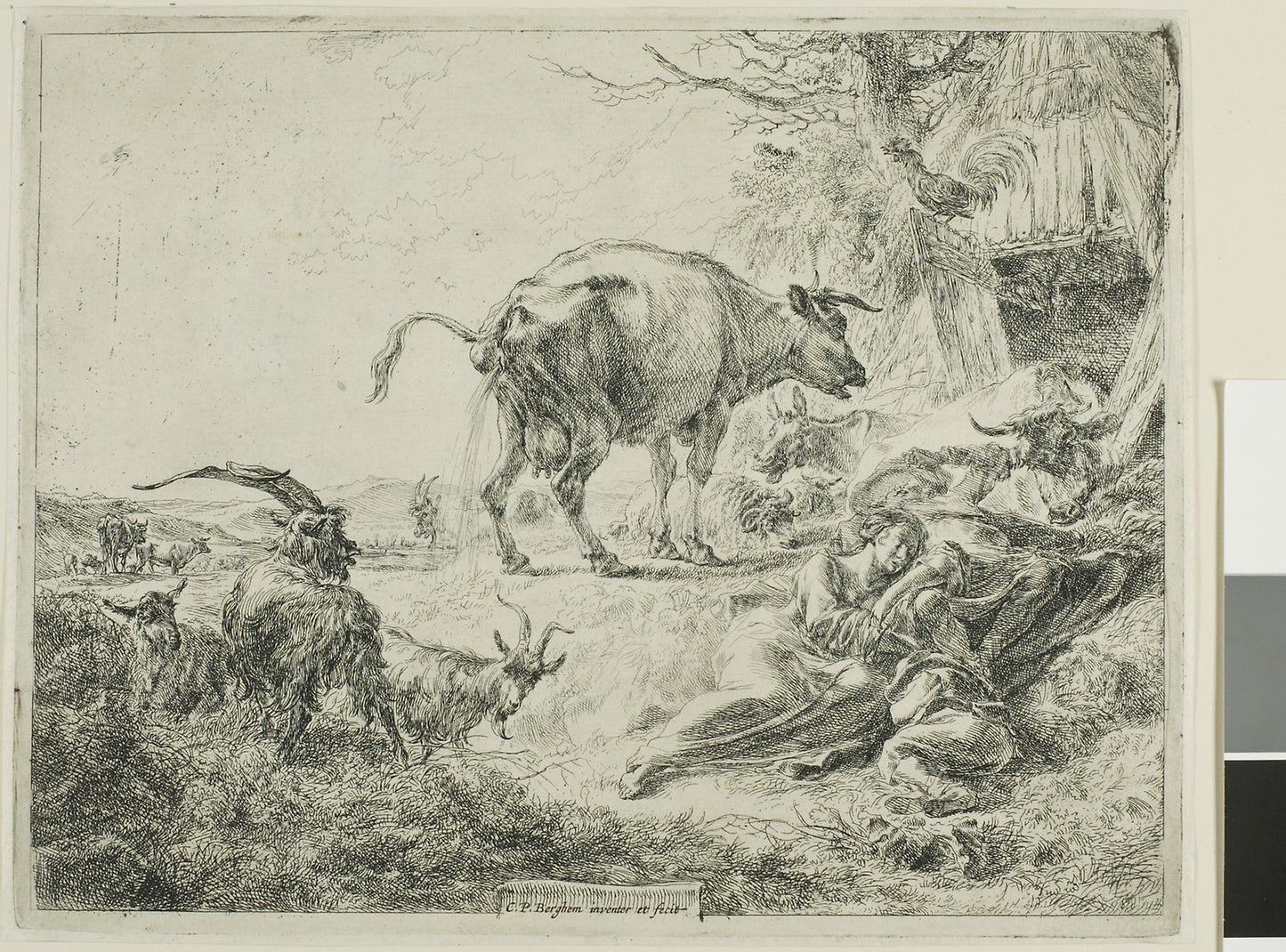 Cow Relieving Itself - Nicolaes Berchem, the Elder , Poster Print Wall Art