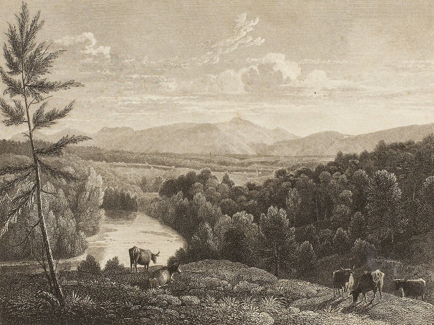 Catskill Mountains - Asher B. Durand, Poster Print Wall Art