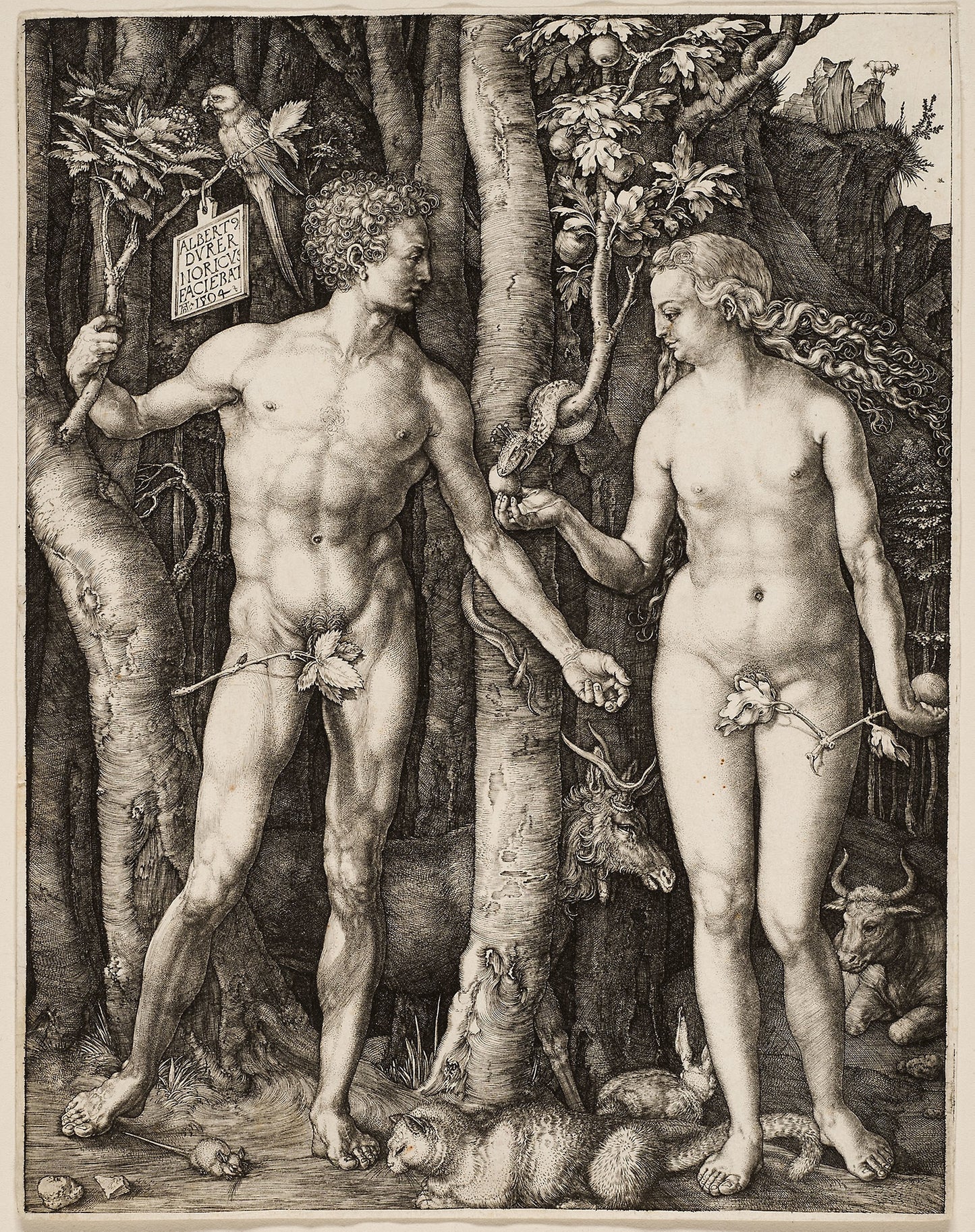 Adam and Eve: Albrecht Dürer,16x12"(A3) Poster