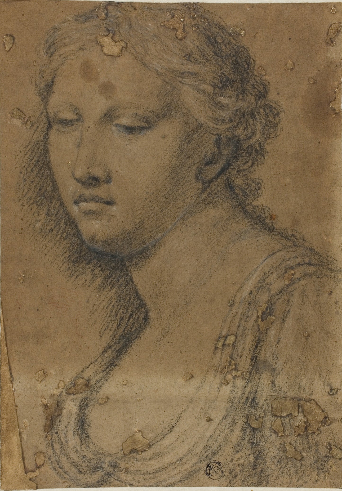 Bust of Woman - Attributed to Girolamo Sellari, called Girolamo da Carpi, Poster Print Wall Art