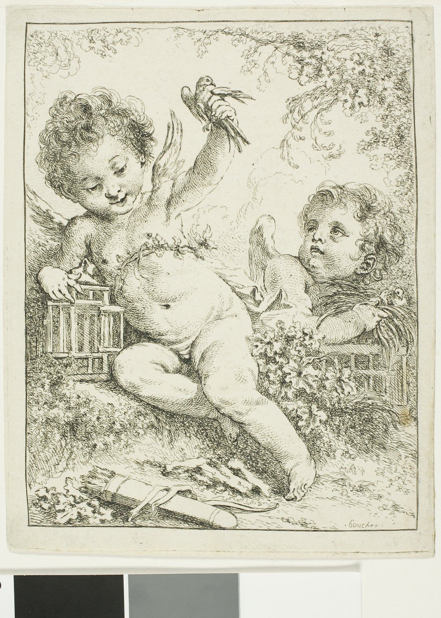 Two Putti with a Bird - François Boucher, Poster Print Wall Art