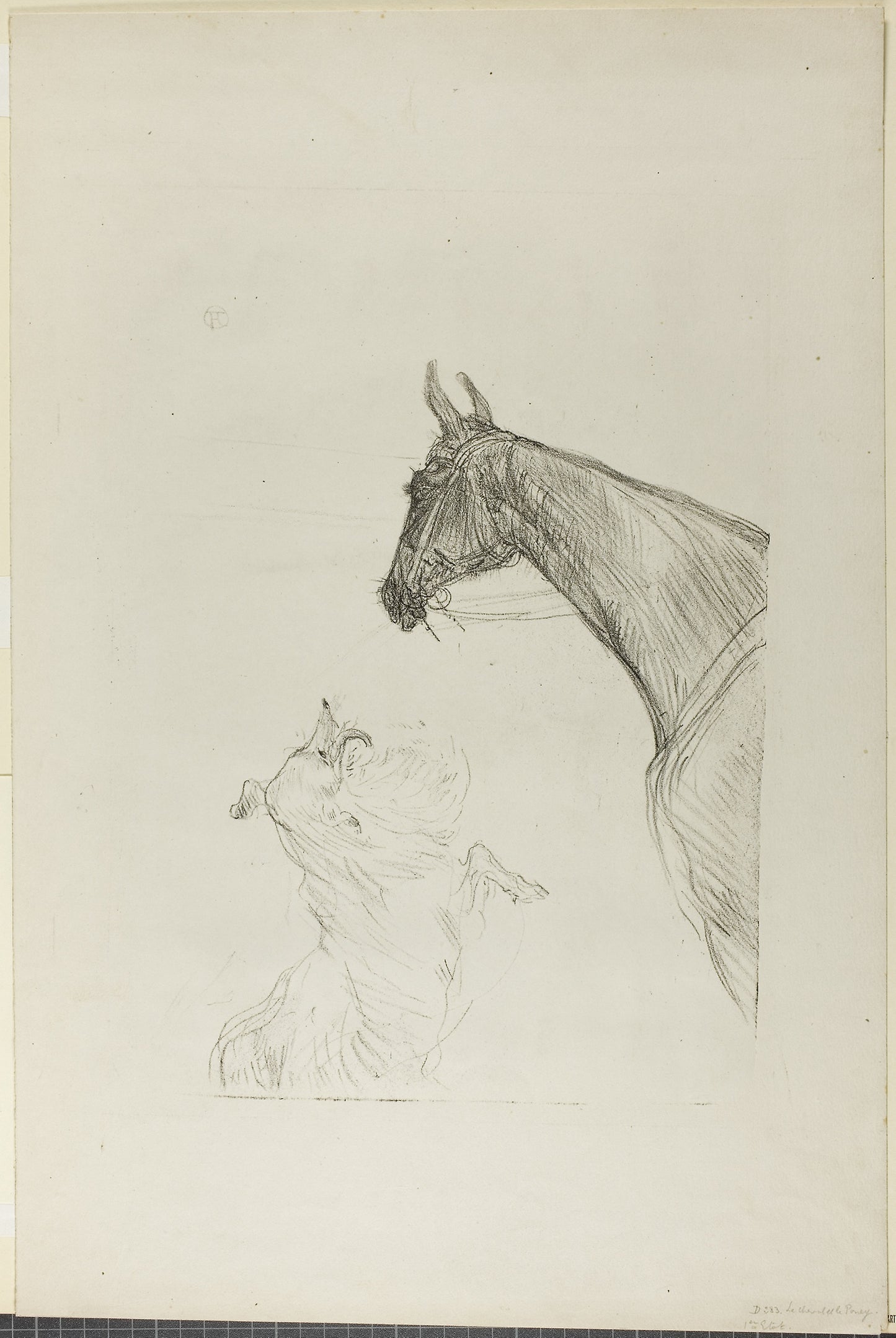 Horse and Collie - Henri de Toulouse-Lautrec, Poster Print Wall Art