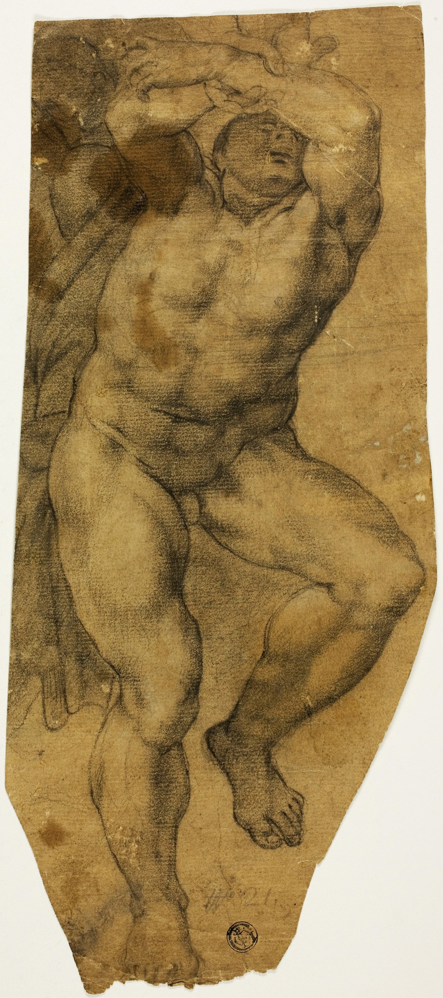 Ascending Male Nude: After Michelangelo Buonarroti,16x12"(A3) Poster