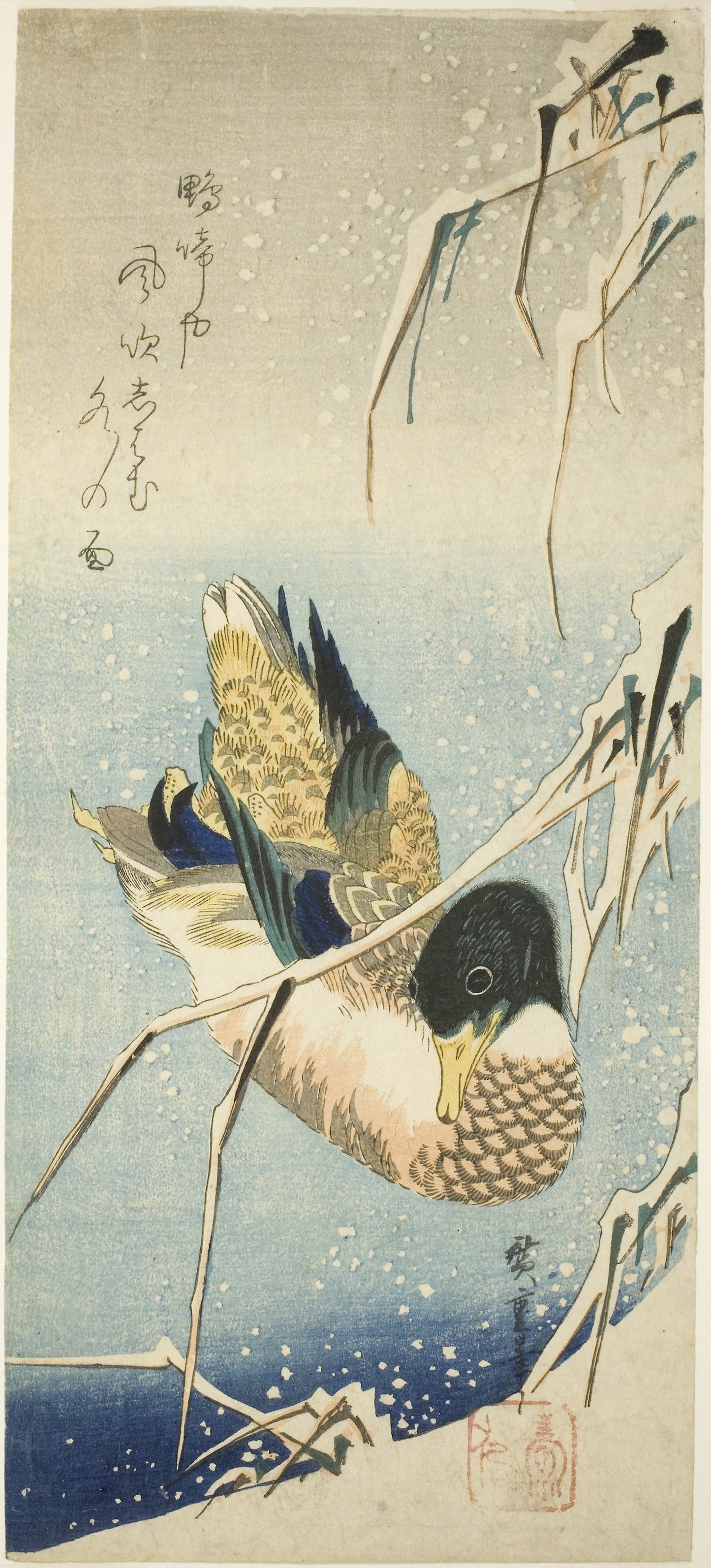 A Wild Duck Swimming - a Snow-covered Bank beneath Snow-laden Reeds - Utagawa Hiroshige ?? ??, Poster Print Wall Art