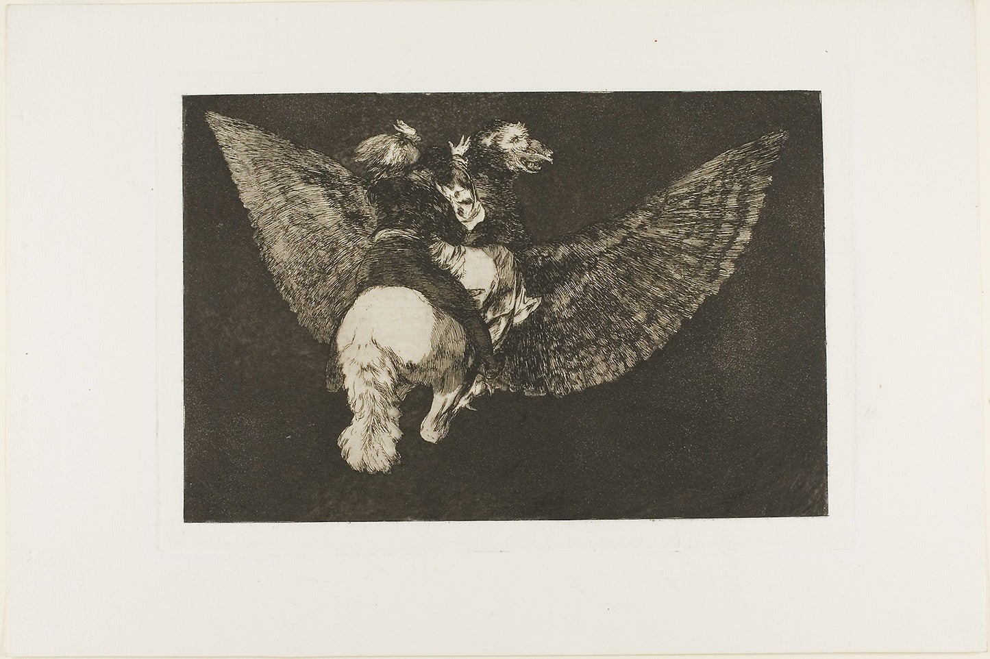Renounce the Friend Who Covers You with His Wings and Bites You with His Beak, plate five from Los Proverbios - Francisco José de Goya y Lucientes, Poster Print Wall Art