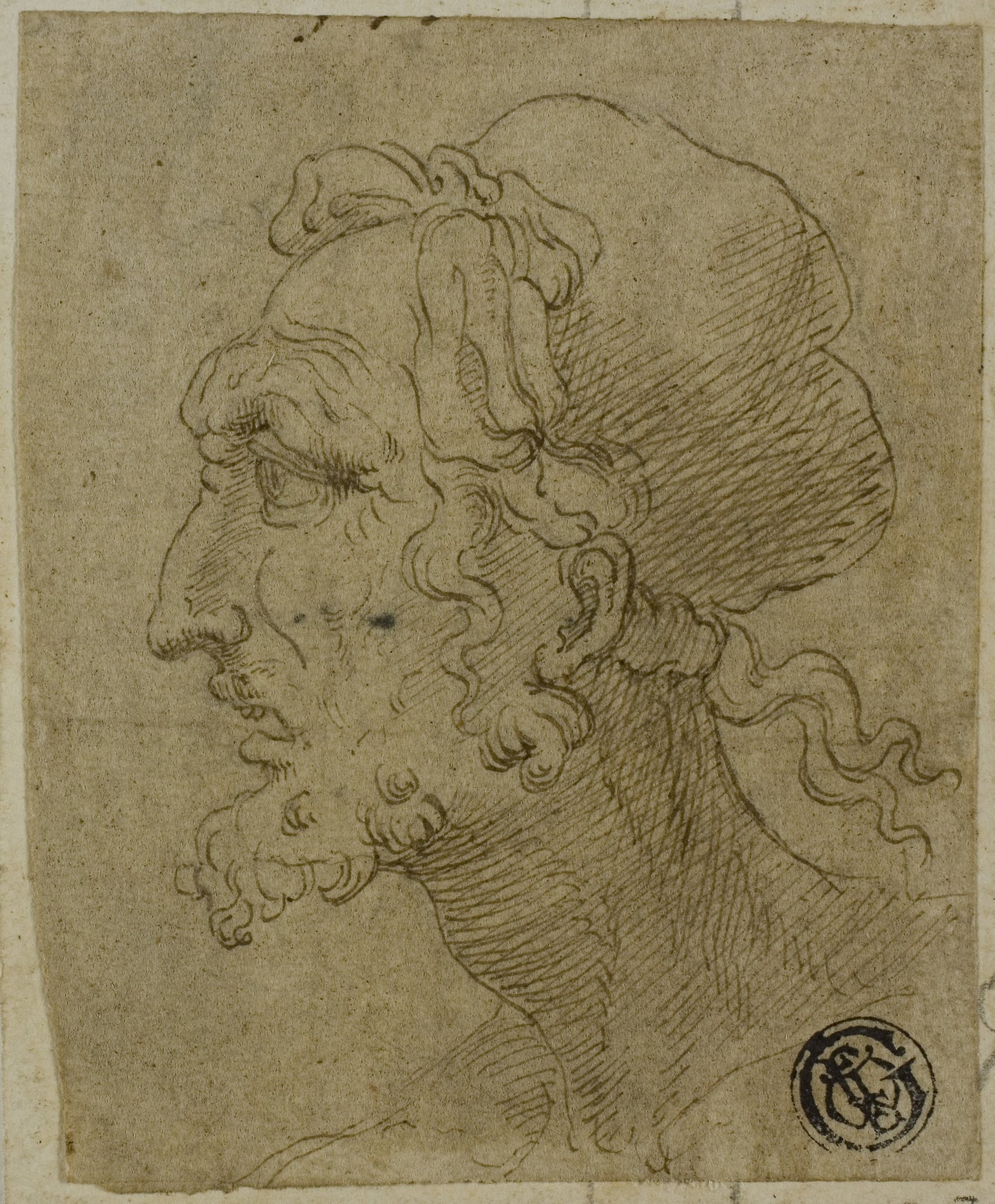Male Head in Profile - Attributed to Baldassare Peruzzi, Poster Print Wall Art
