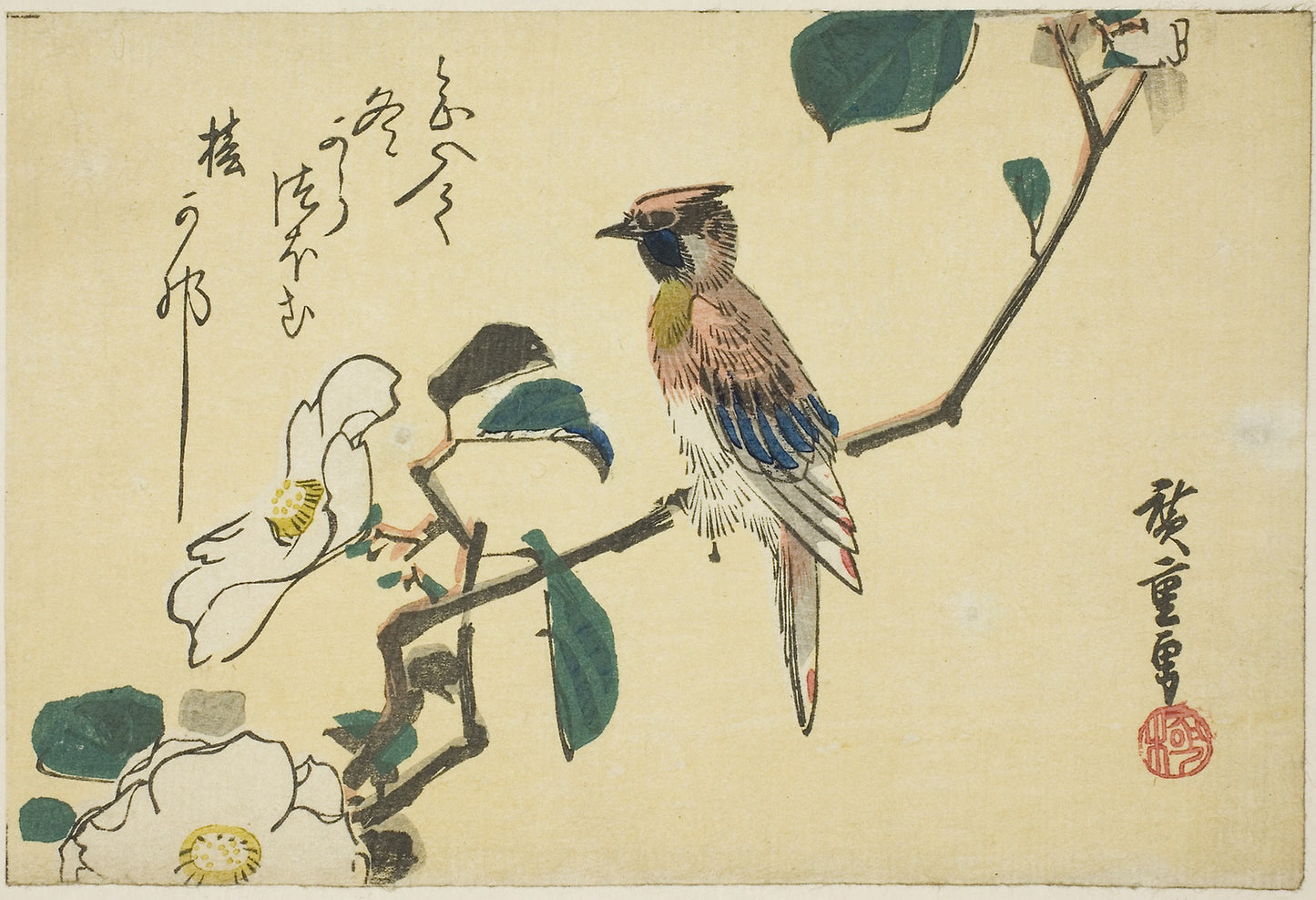Black-naped oriole on camellia branch - Utagawa Hiroshige ?? ??, Poster Print Wall Art