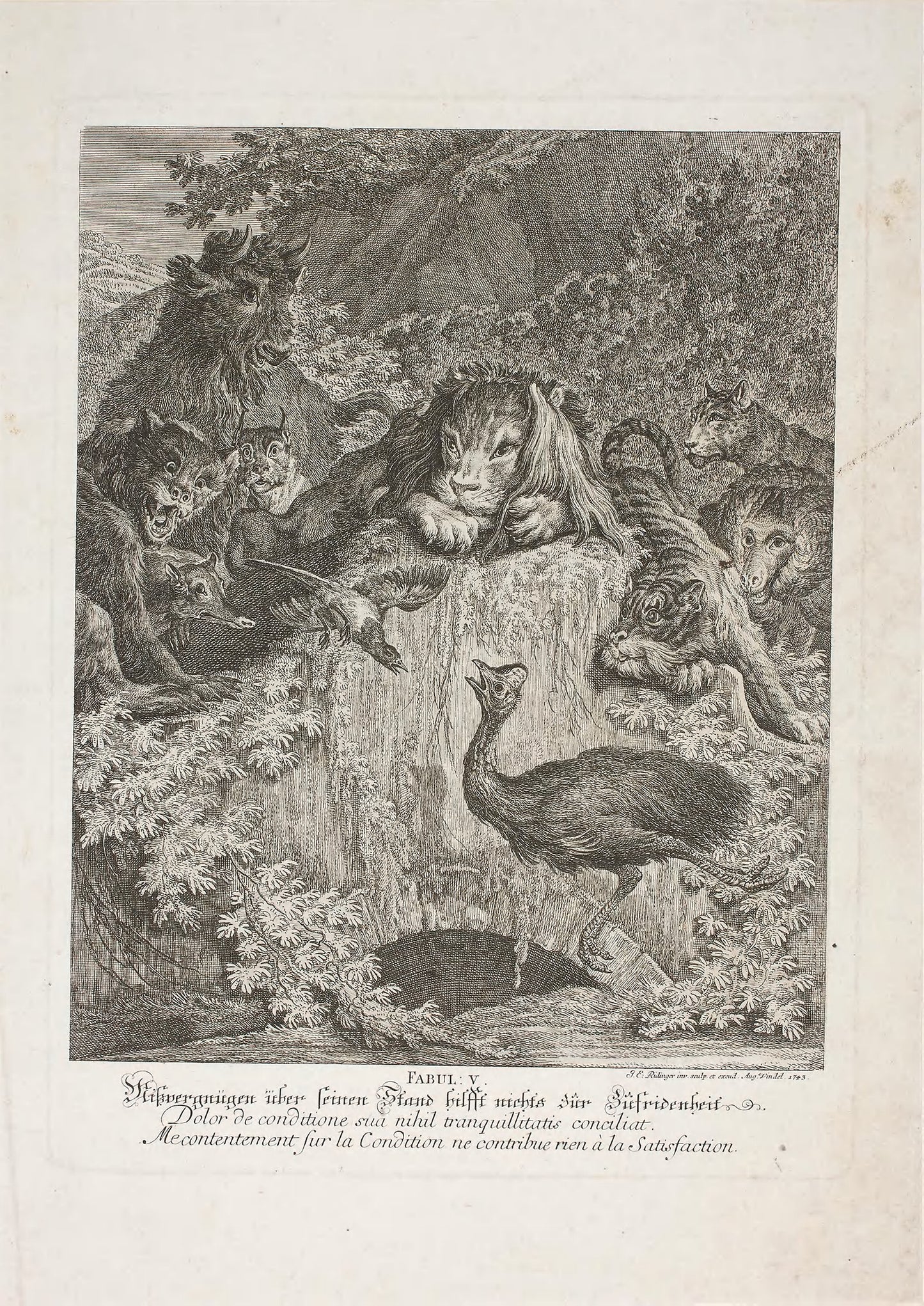 Fable V, plate five from Lehrreiche Fabeln aus dem Reiche der Theire - Johann Elias Ridinger, Poster Print Wall Art