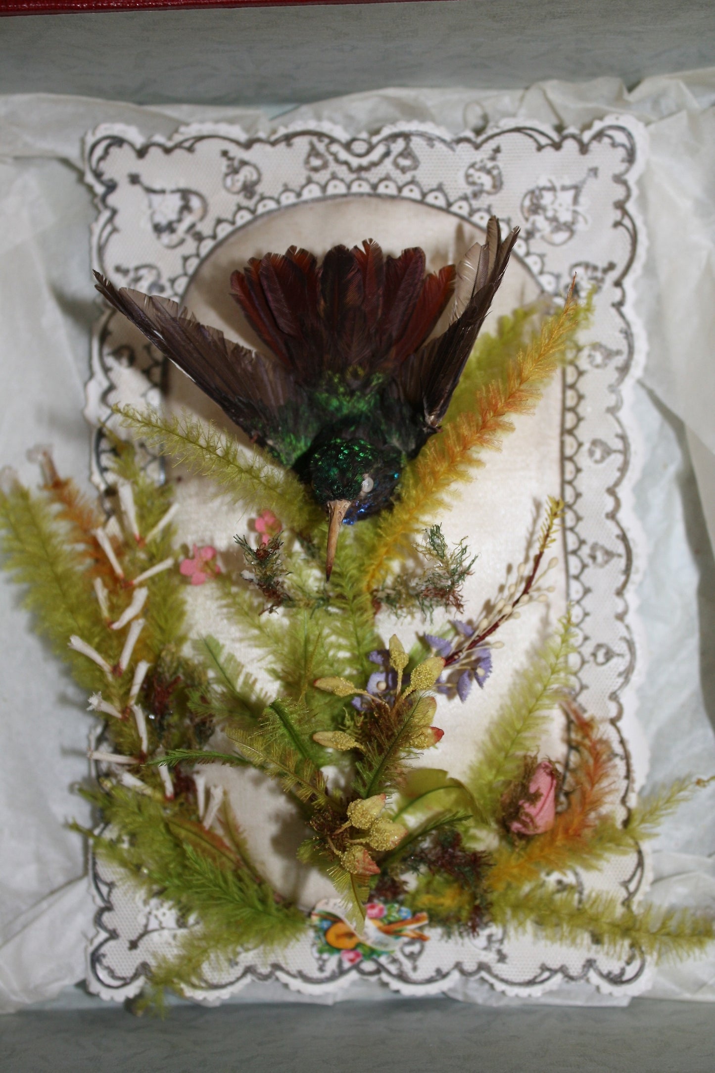 Hummingbird Valentine - possibly Jonathan King, Poster Print Wall Art