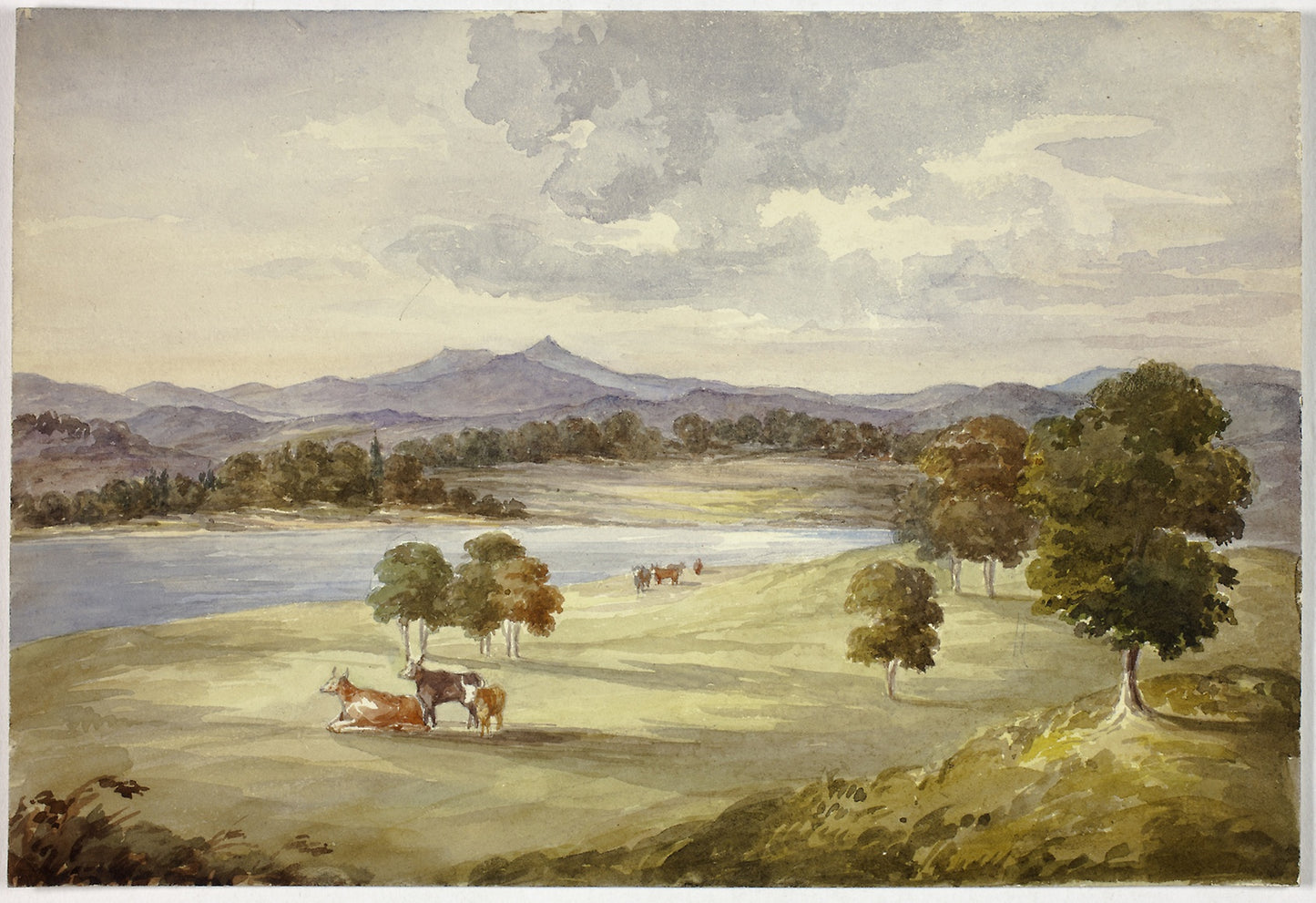 Cows in Landscape - Elizabeth Murray, Poster Print Wall Art