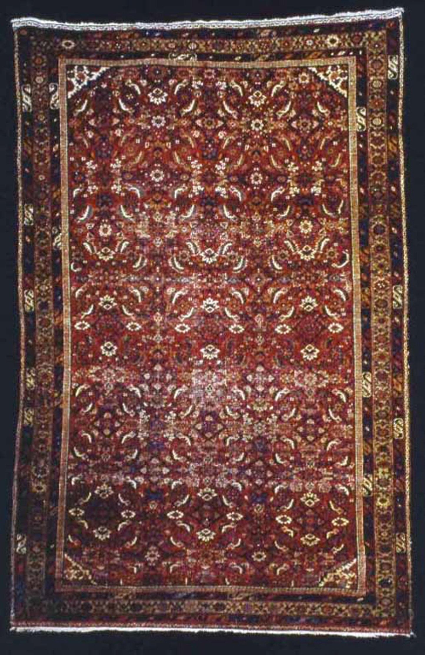 Carpet - Iran (Persia), Feraghan, Poster Print Wall Art
