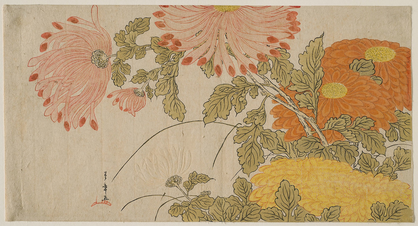 Chrysanthemums - Katsukawa Shunsho ?? ??, Poster Print Wall Art