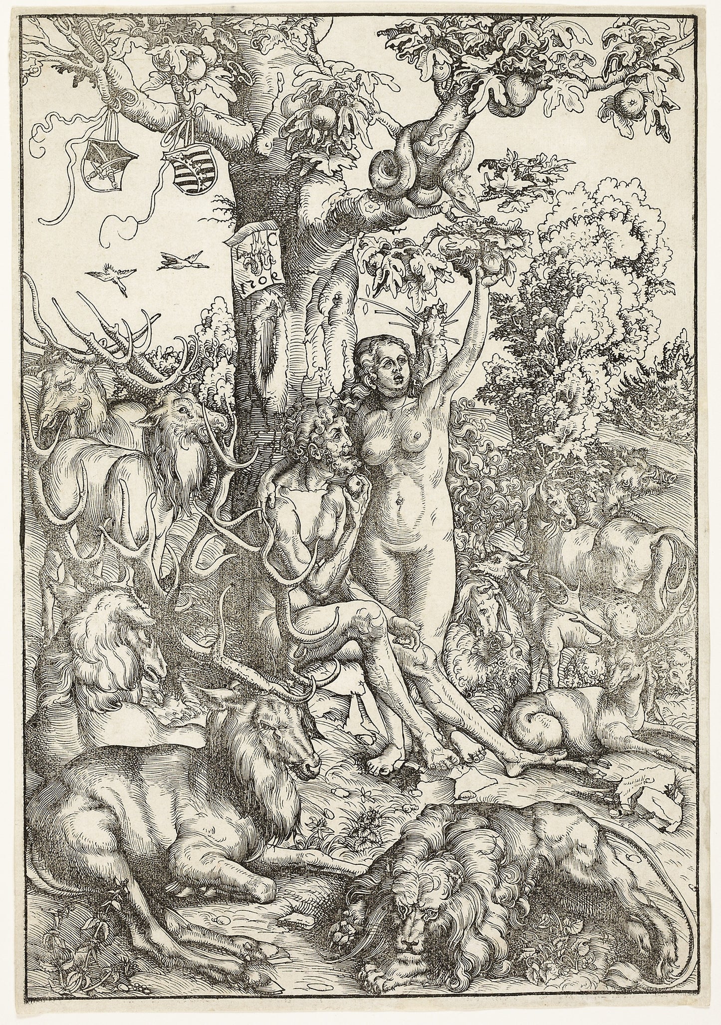 The Fall of Man - Lucas Cranach the Elder, Poster Print Wall Art