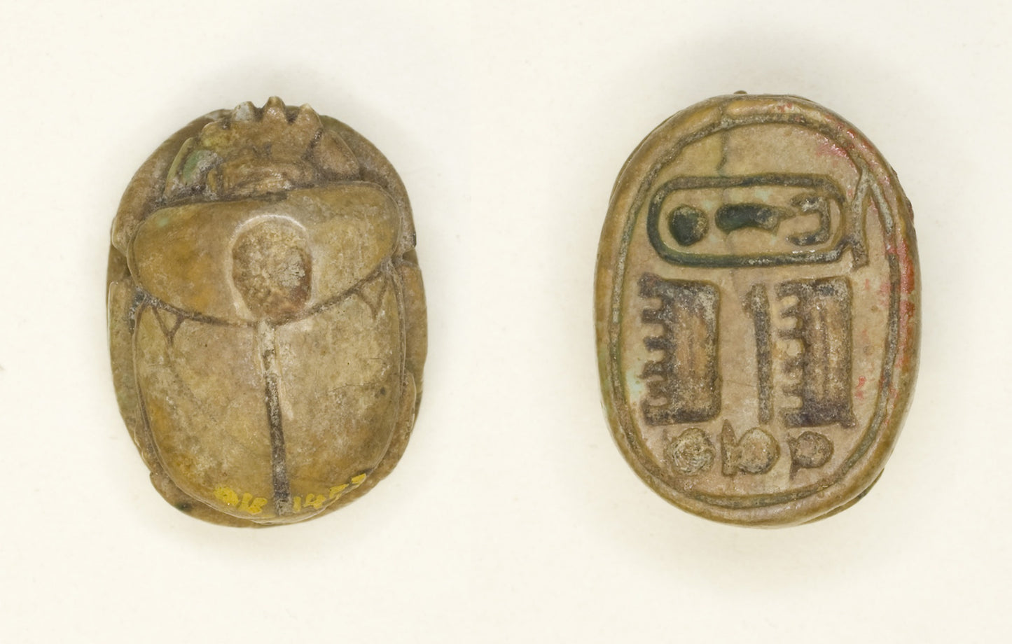 Scarab - Maatkara (Hatshepsut) - Egyptian, Poster Print Wall Art