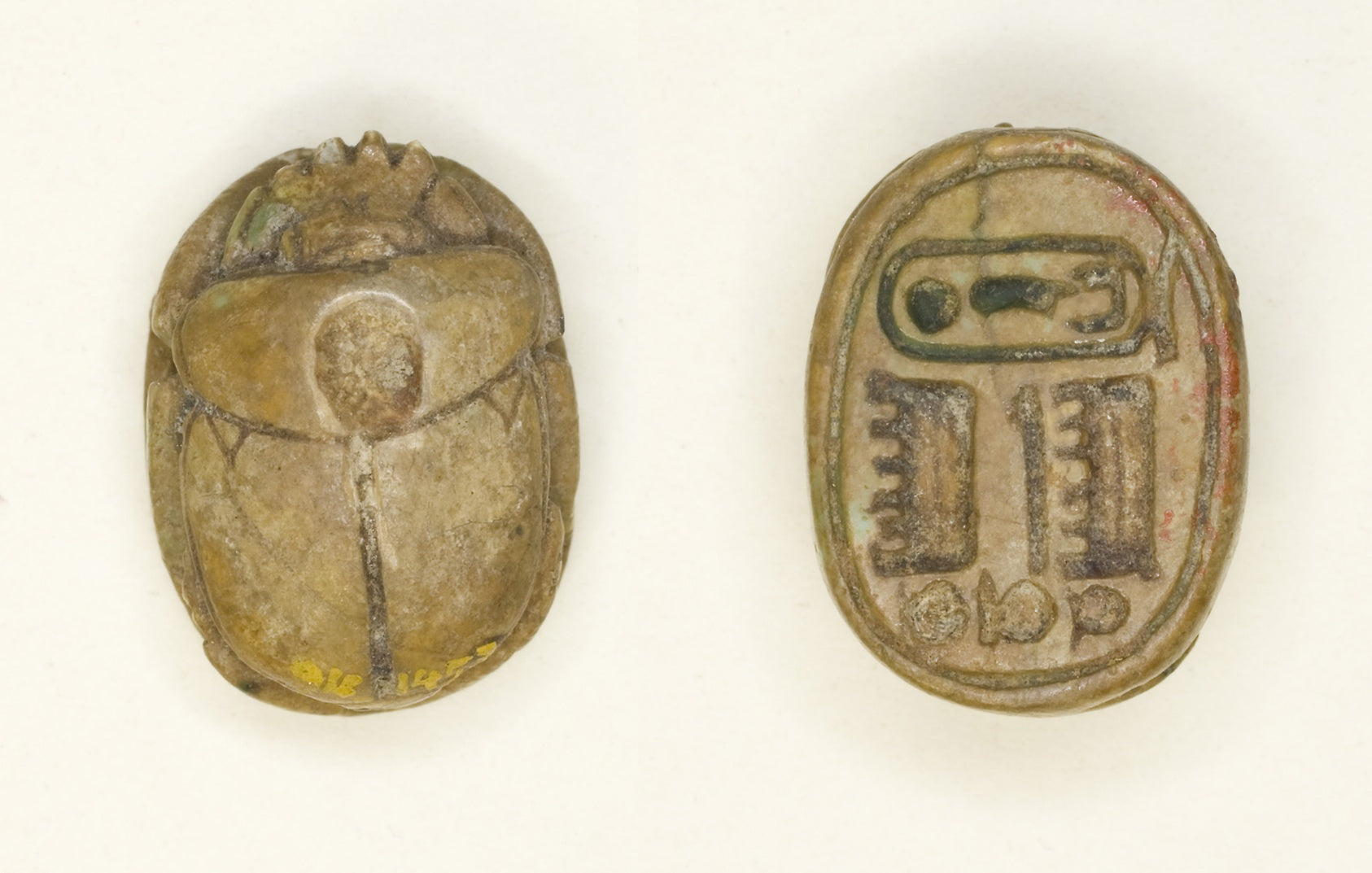 Scarab: Maatkara (Hatshepsut): Egyptian,16x12"(A3) Poster