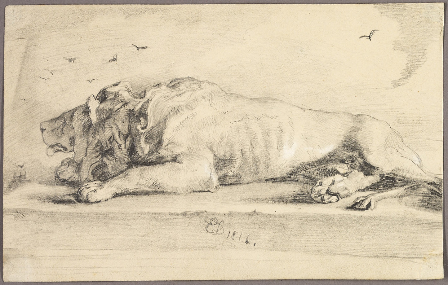 Reclining Lion - Attributed to Edwin Henry Landseer, Poster Print Wall Art