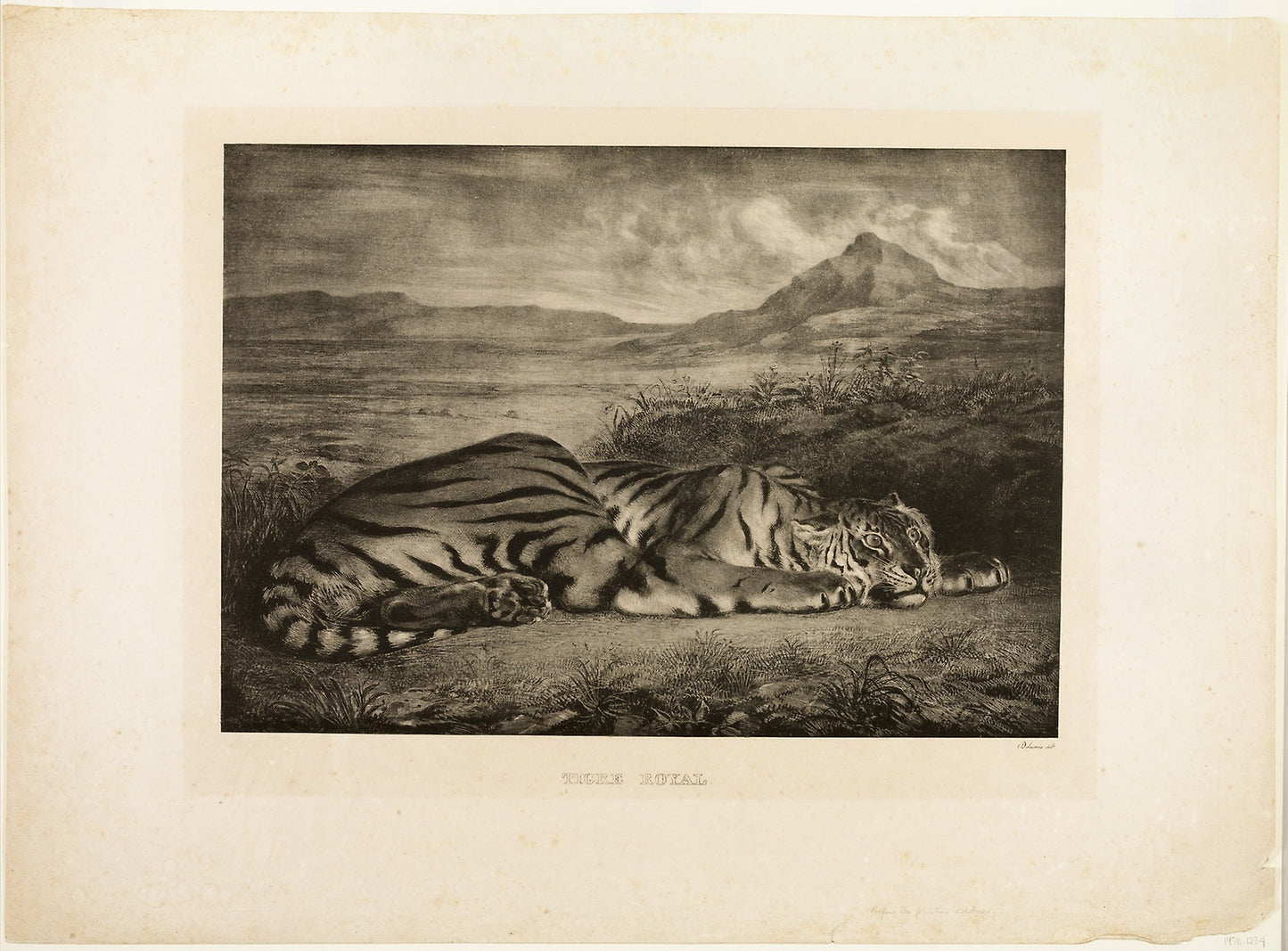 Bengal Tiger - Eugène Delacroix, Poster Print Wall Art