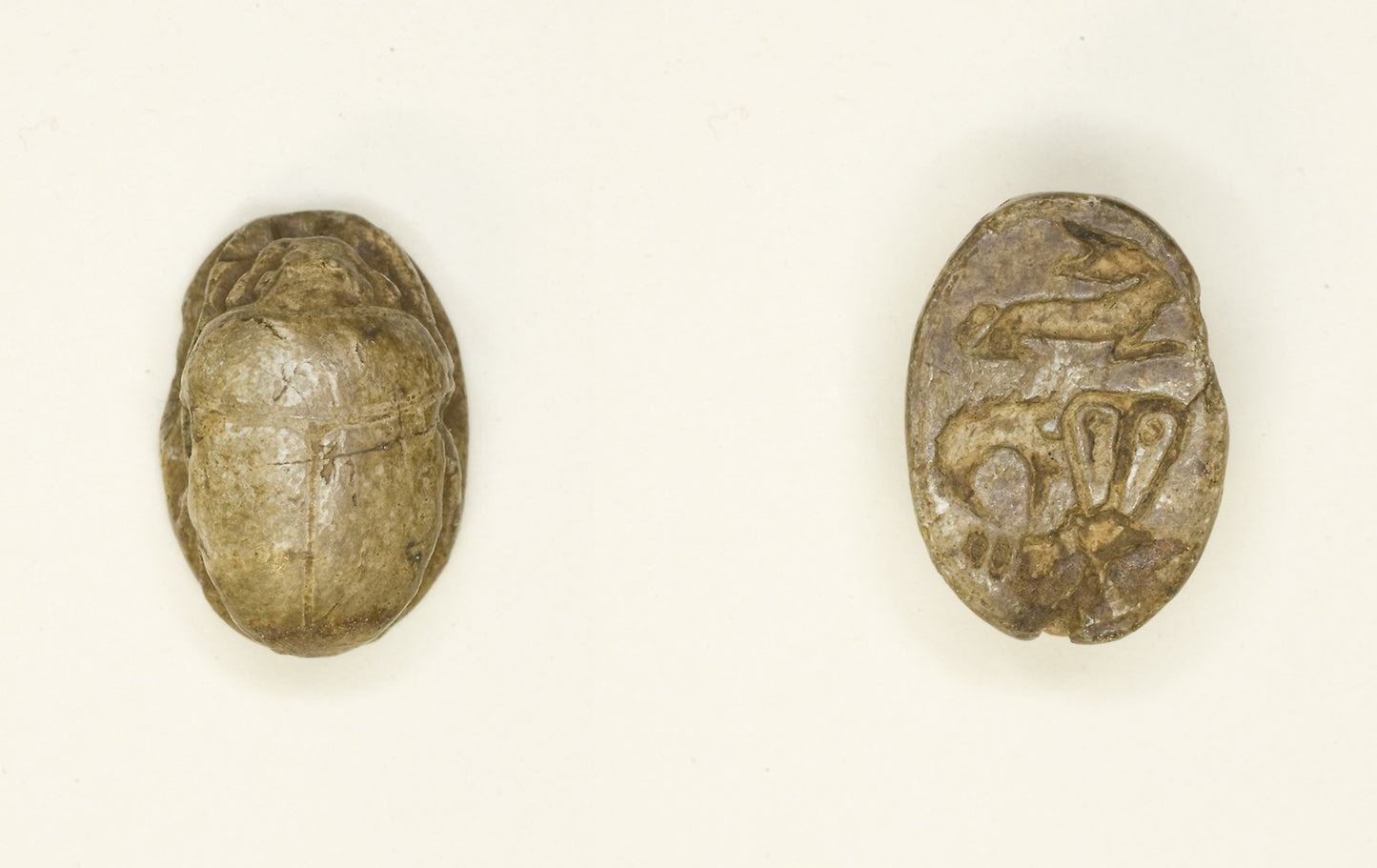 Scarab - Rabbit with Hathor Sistrum - Egyptian, Poster Print Wall Art