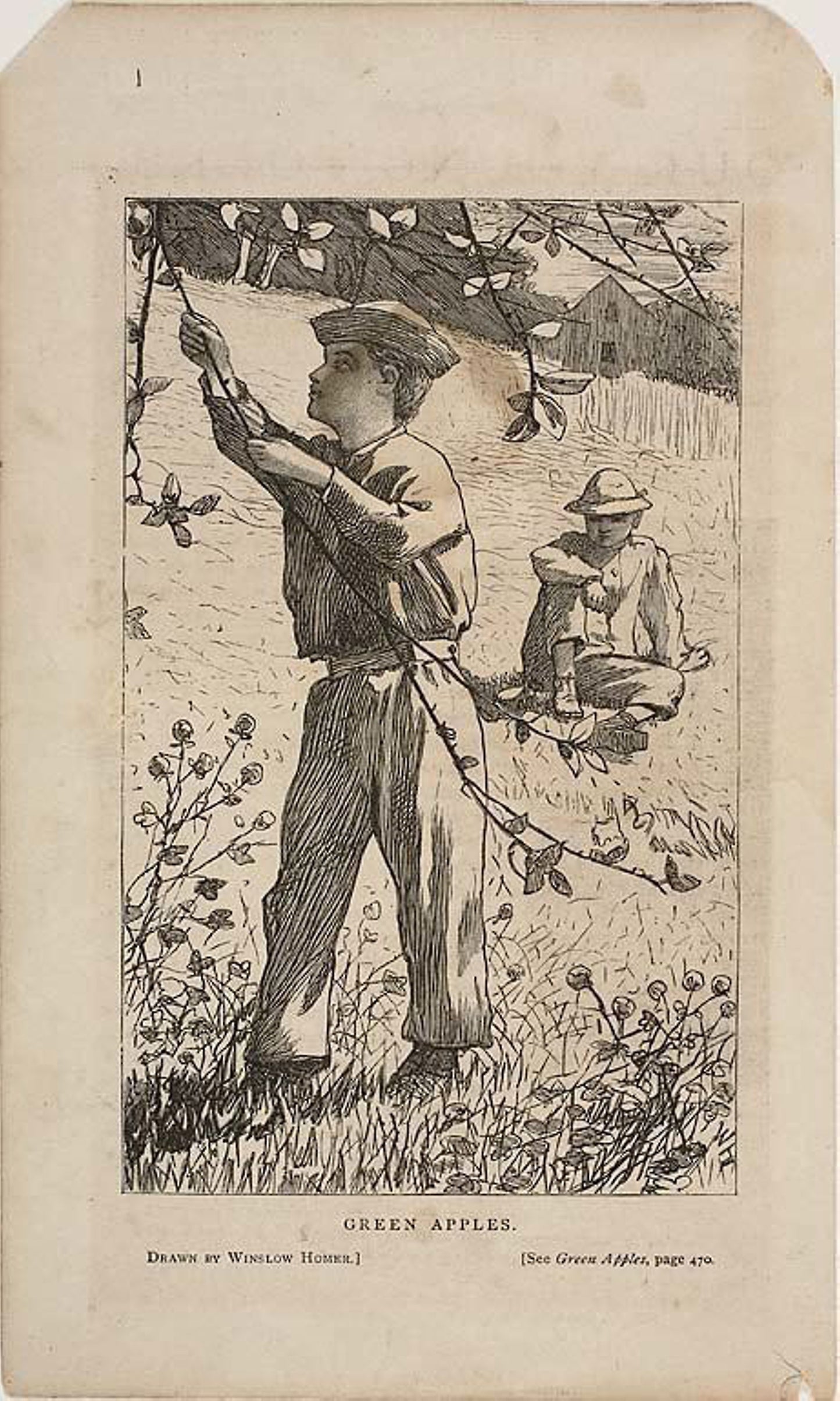 Green Apples - Winslow Homer (American, 1836-1910), Poster Print Wall Art