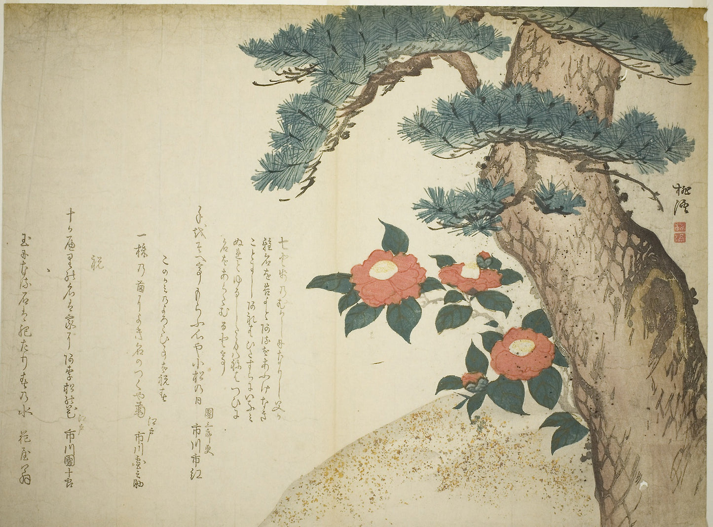 A Pine Tree and Camellias - Niwa Tokei, Poster Print Wall Art