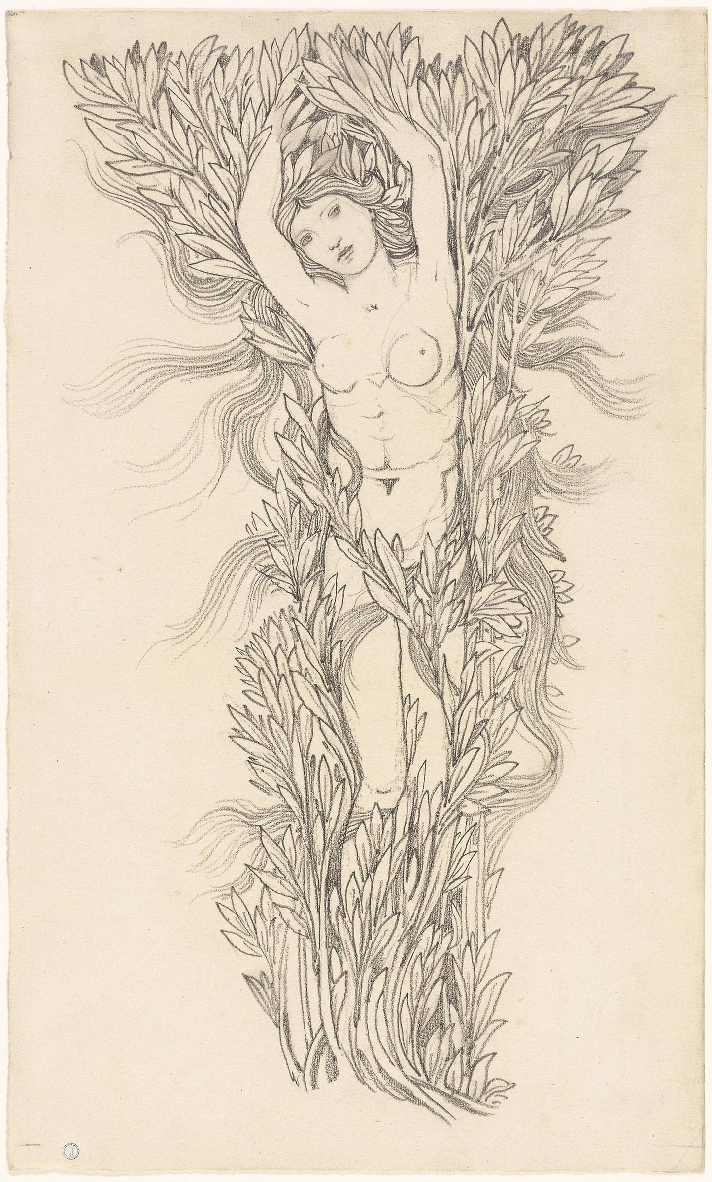 Daphne - Sir Edward Burne-Jones, style of, Poster Print Wall Art