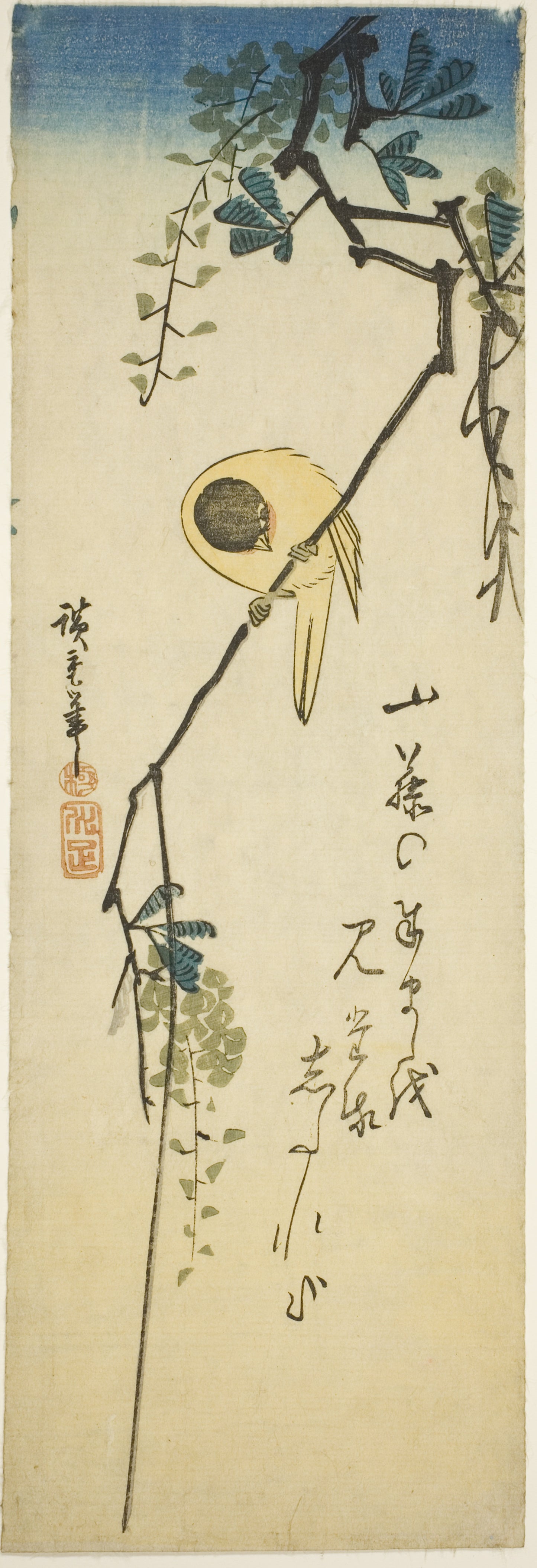 Bird on silky wisteria - Utagawa Hiroshige ?? ??, Poster Print Wall Art