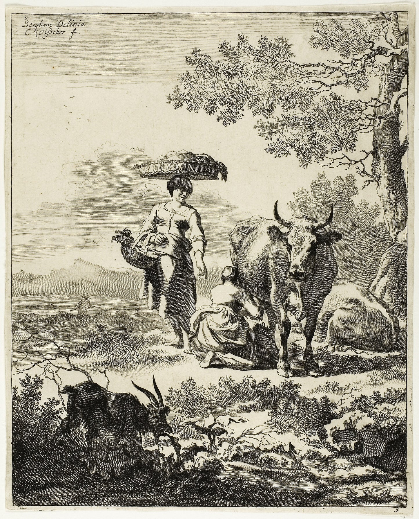 Woman Milking a Cow - Cornelis Visscher (Dutch, c. 1629-1658), Poster Print Wall Art