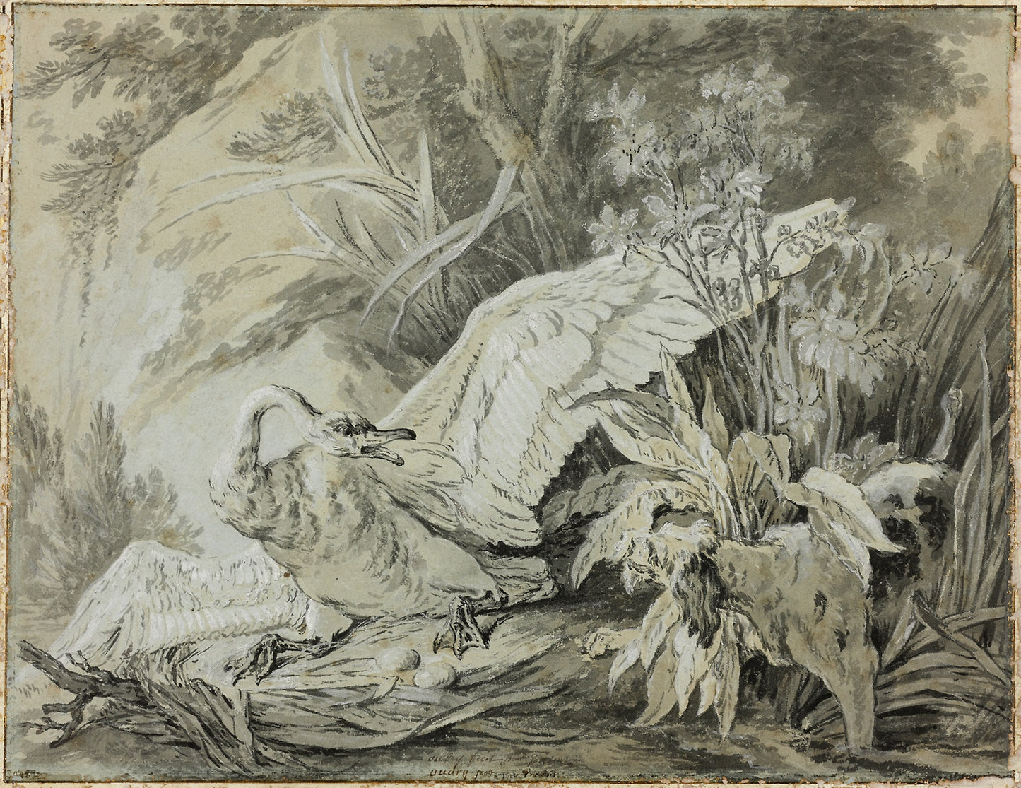 A Wild Swan Attacked - a Dog - Jean-Baptiste Oudry, Poster Print Wall Art
