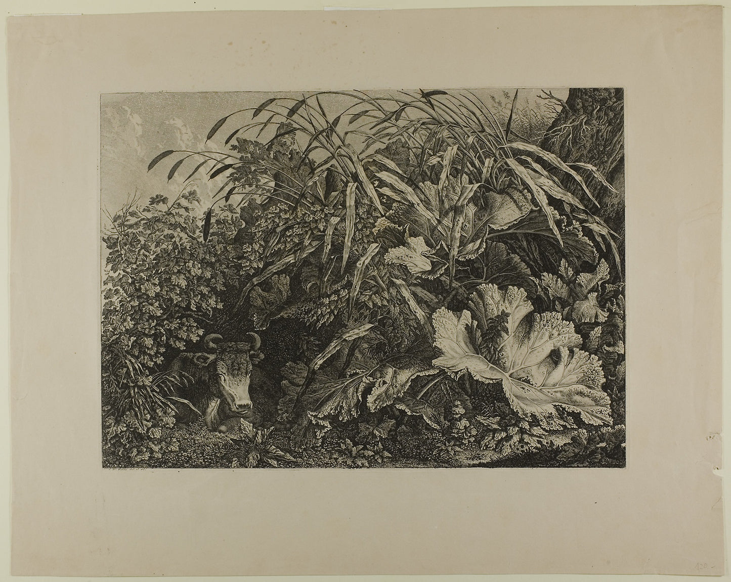 Cow Standing in a Swamp - Carl Wilhelm Kolbe, the elder, Poster Print Wall Art
